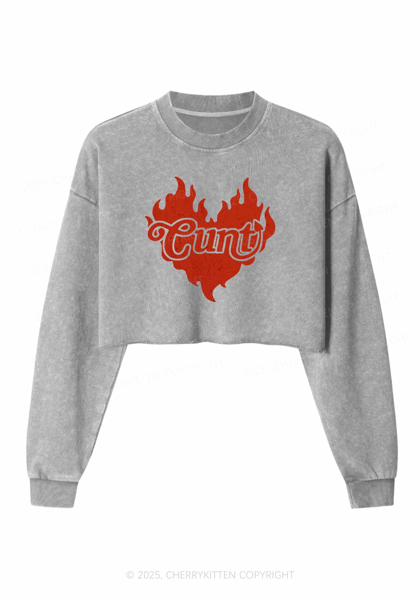 Cxxt Devil Y2K Valentine's Day Crop Washed Sweatshirts Cherrykitten