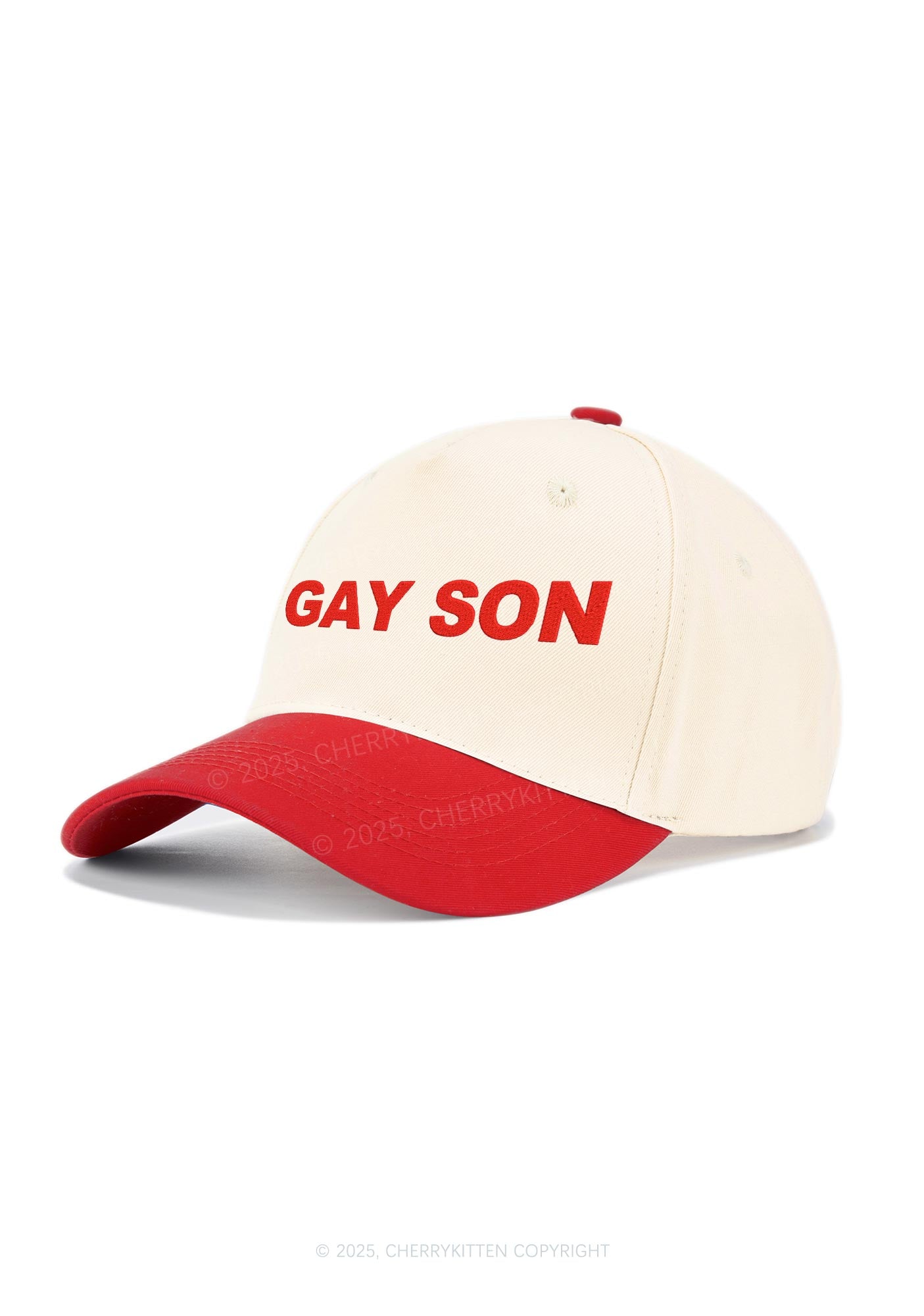 Embroidered Gay Son Pride Y2K Color Block Baseball Cap Cherrykitten