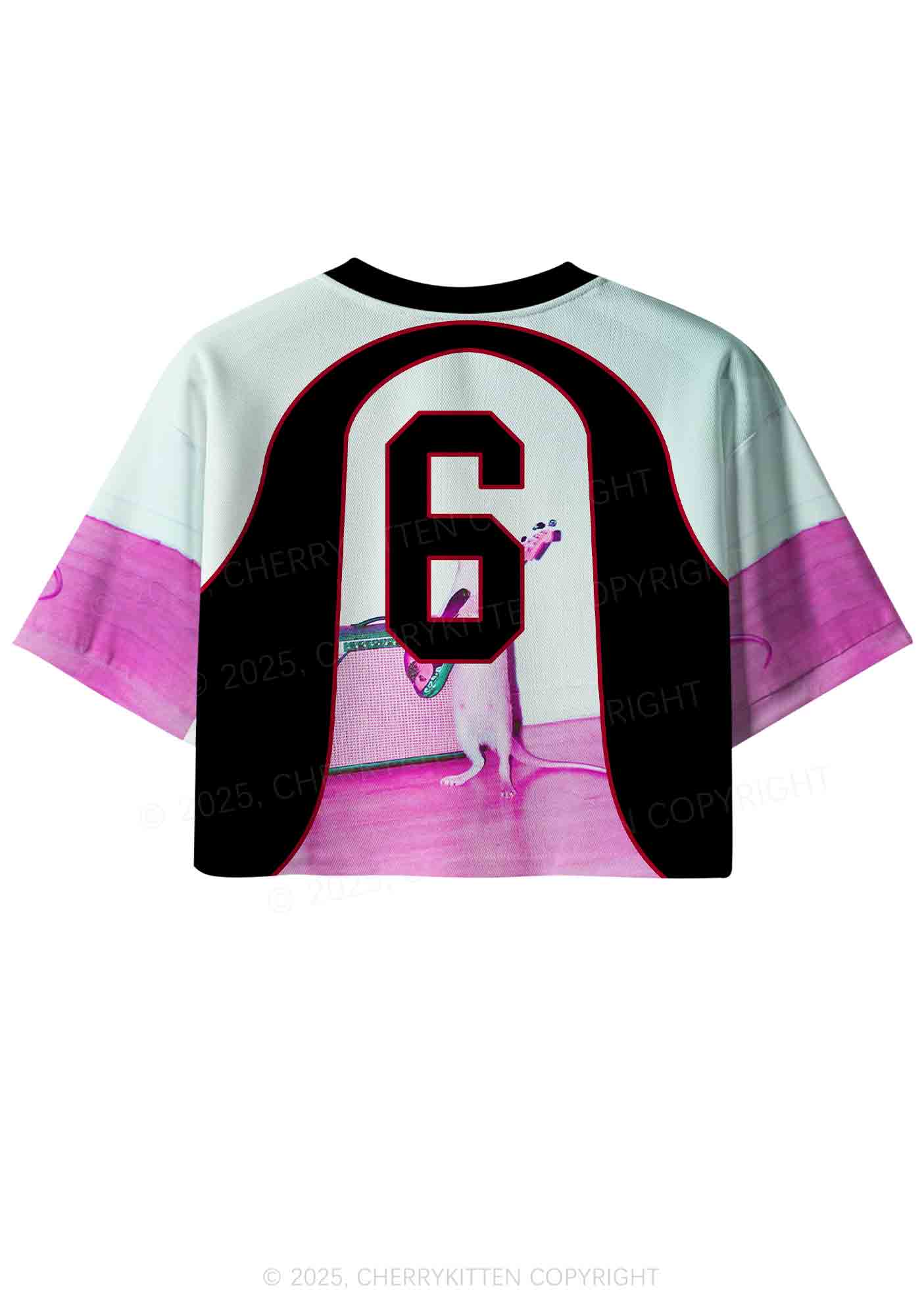 Custom Rat Guitarist Y2K Crop Sport Jersey Shirts Cherrykitten