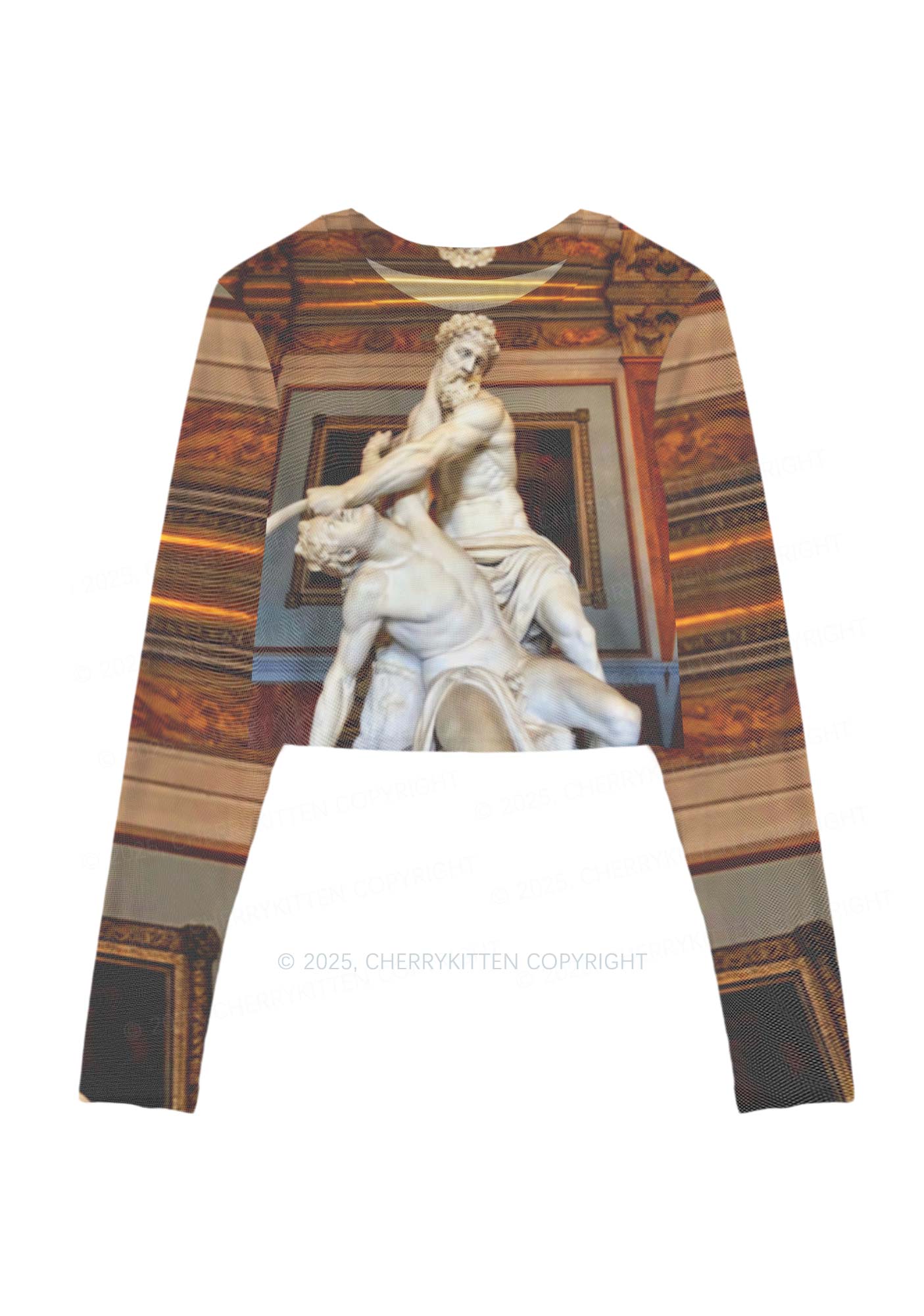 Statue Showdown Y2K Mesh Long Sleeve Crop Top Cherrykitten