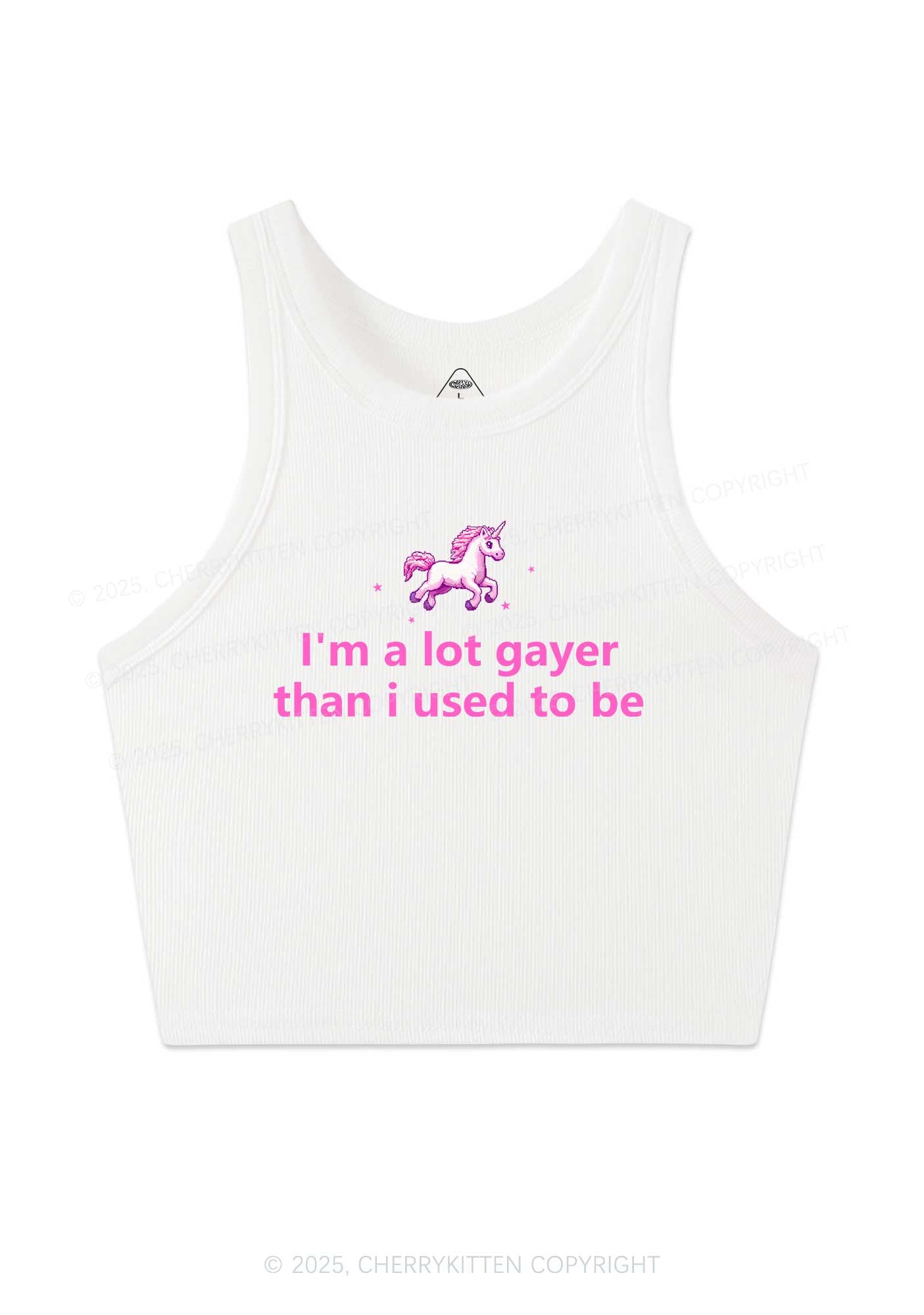 Im A Lot Gayer Pride Y2K Crop Tank Top Cherrykitten