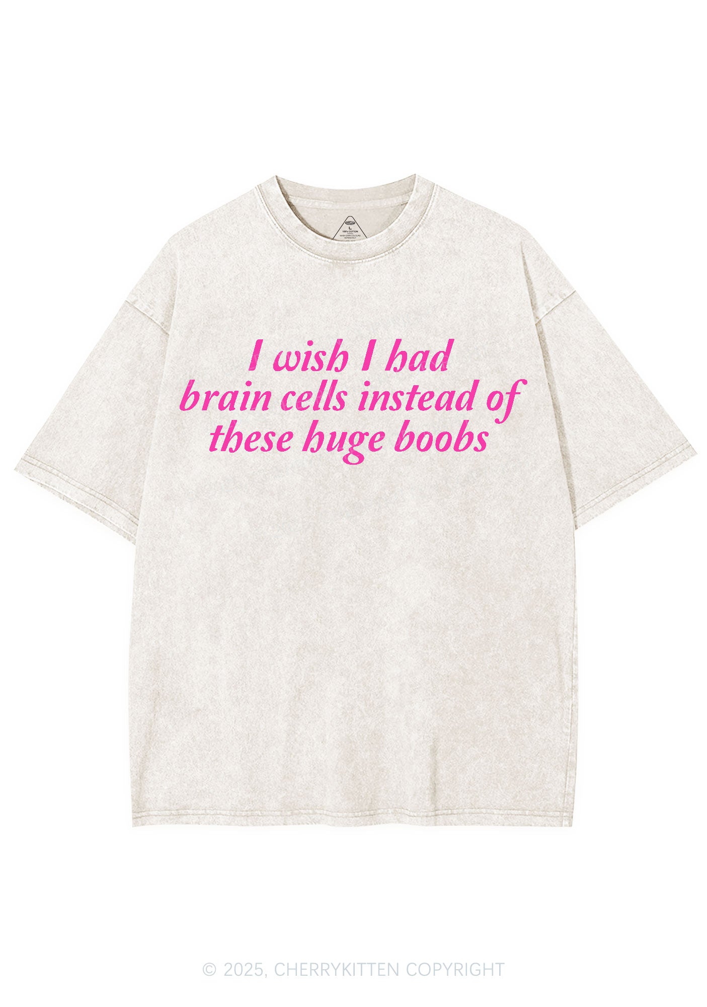 I Had Brain Cells Y2K Shirts Washed Tee Cherrykitten
