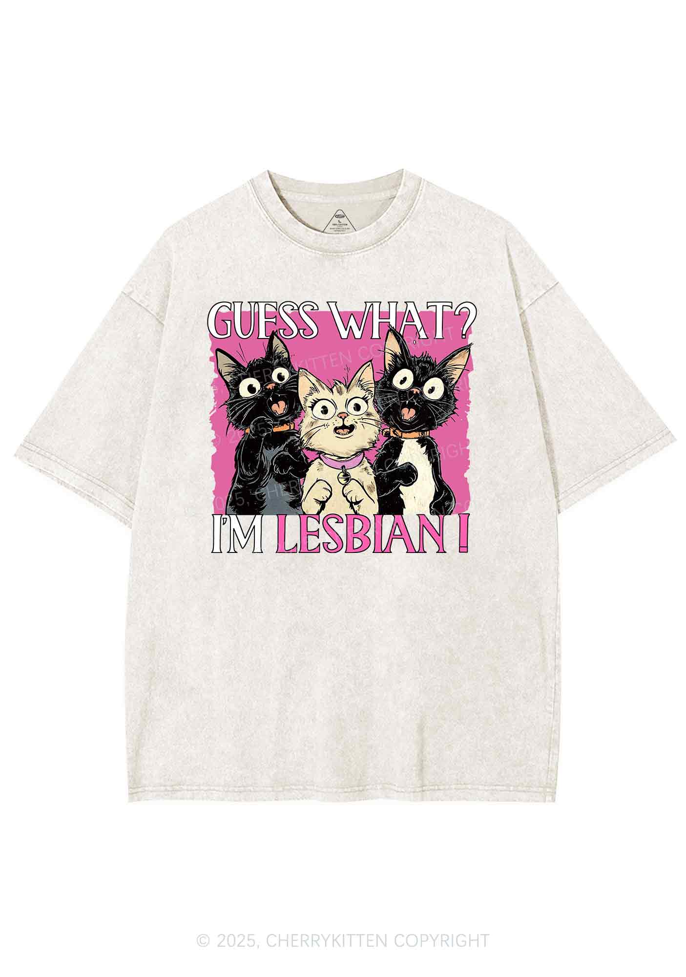 Im Lesbian Cat Pride Y2K Shirts Washed Tee Cherrykitten