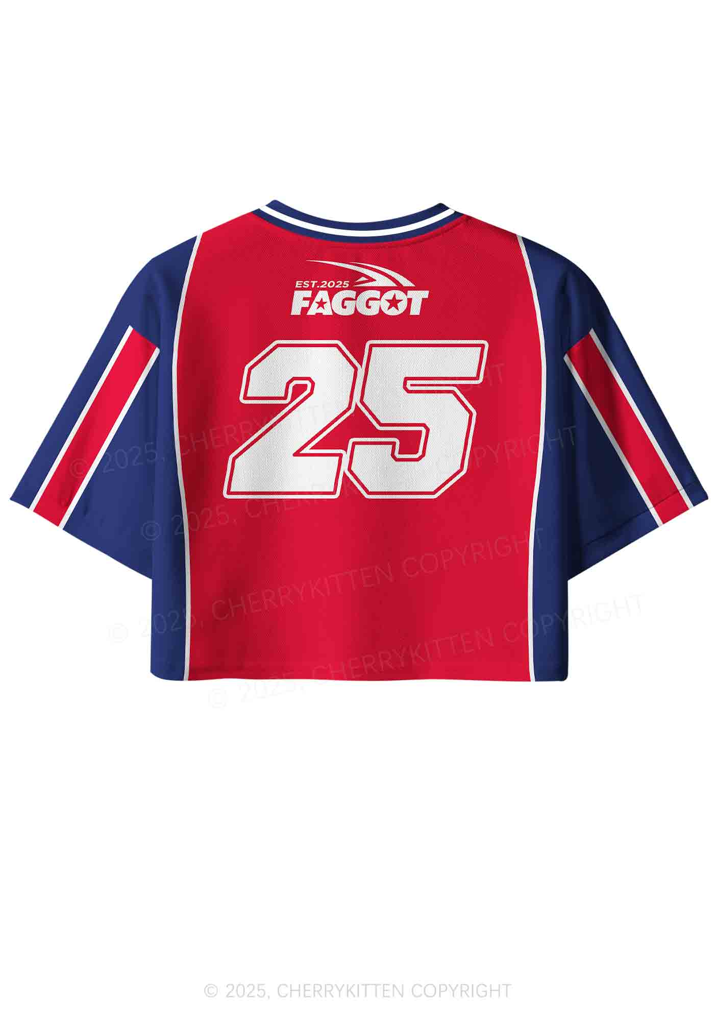 Custom Red Faggot Pride Y2K Crop Sport Jersey Shirts Cherrykitten