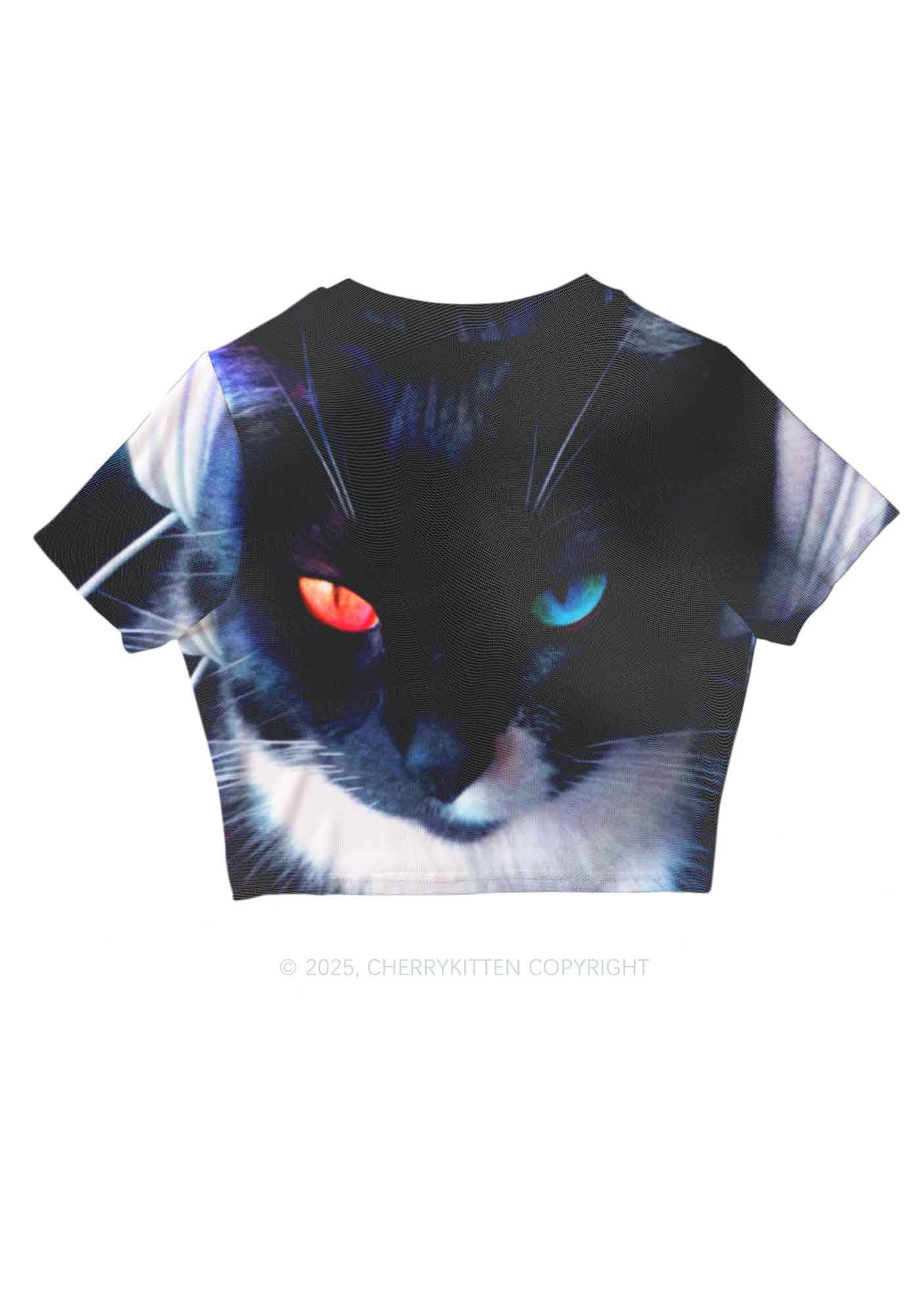 Odd Eyed Cat Y2K Mesh Crop Top Cherrykitten