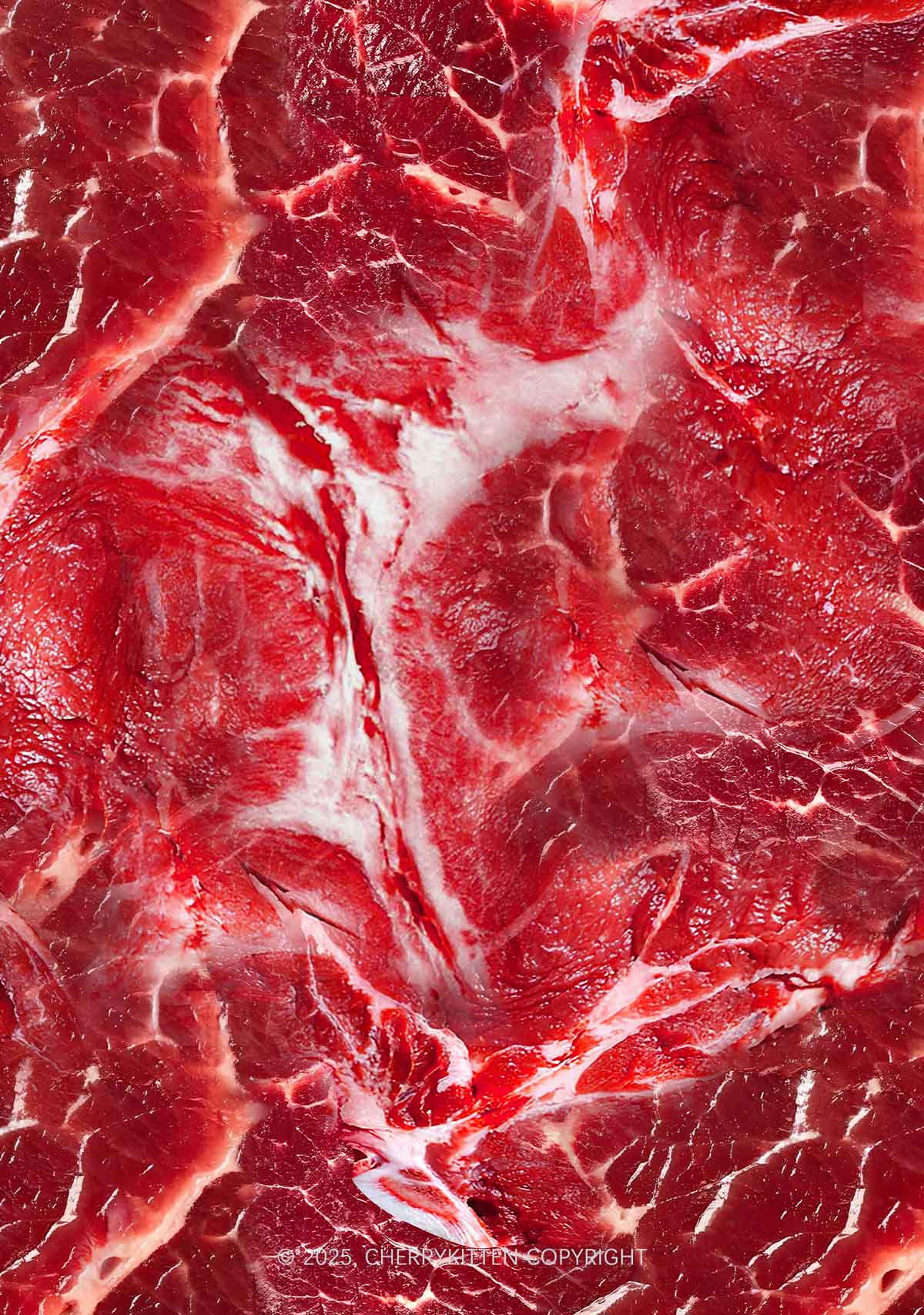 Beef Steak Texture Y2K Mesh Crop Top Cherrykitten