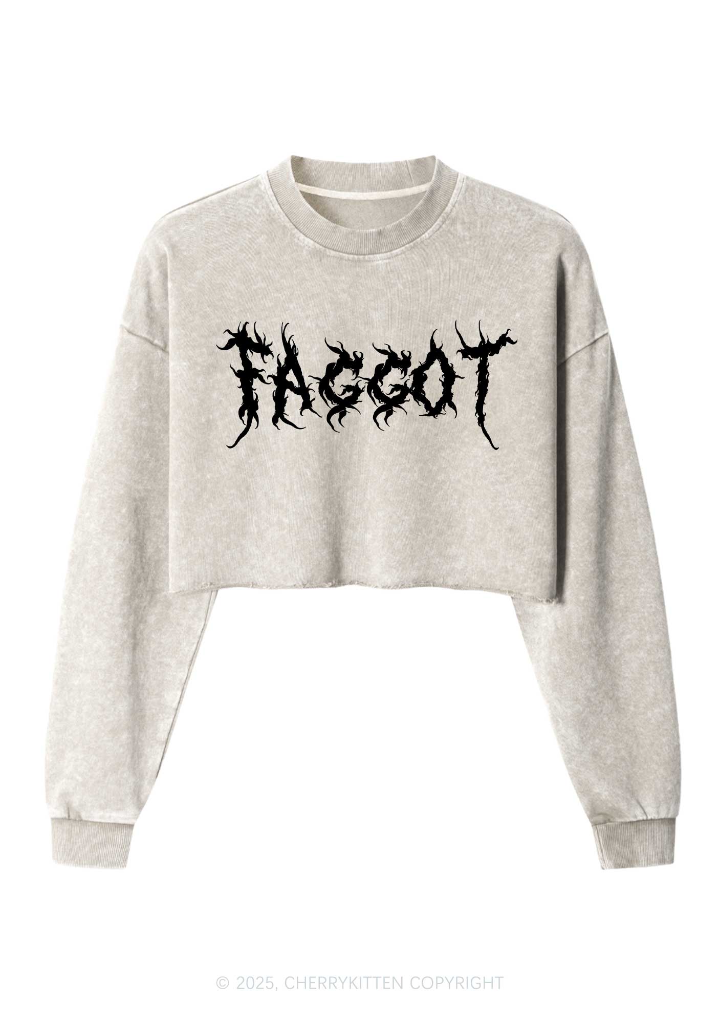 Punk Faggot Pride Y2K Crop Washed Sweatshirts Cherrykitten