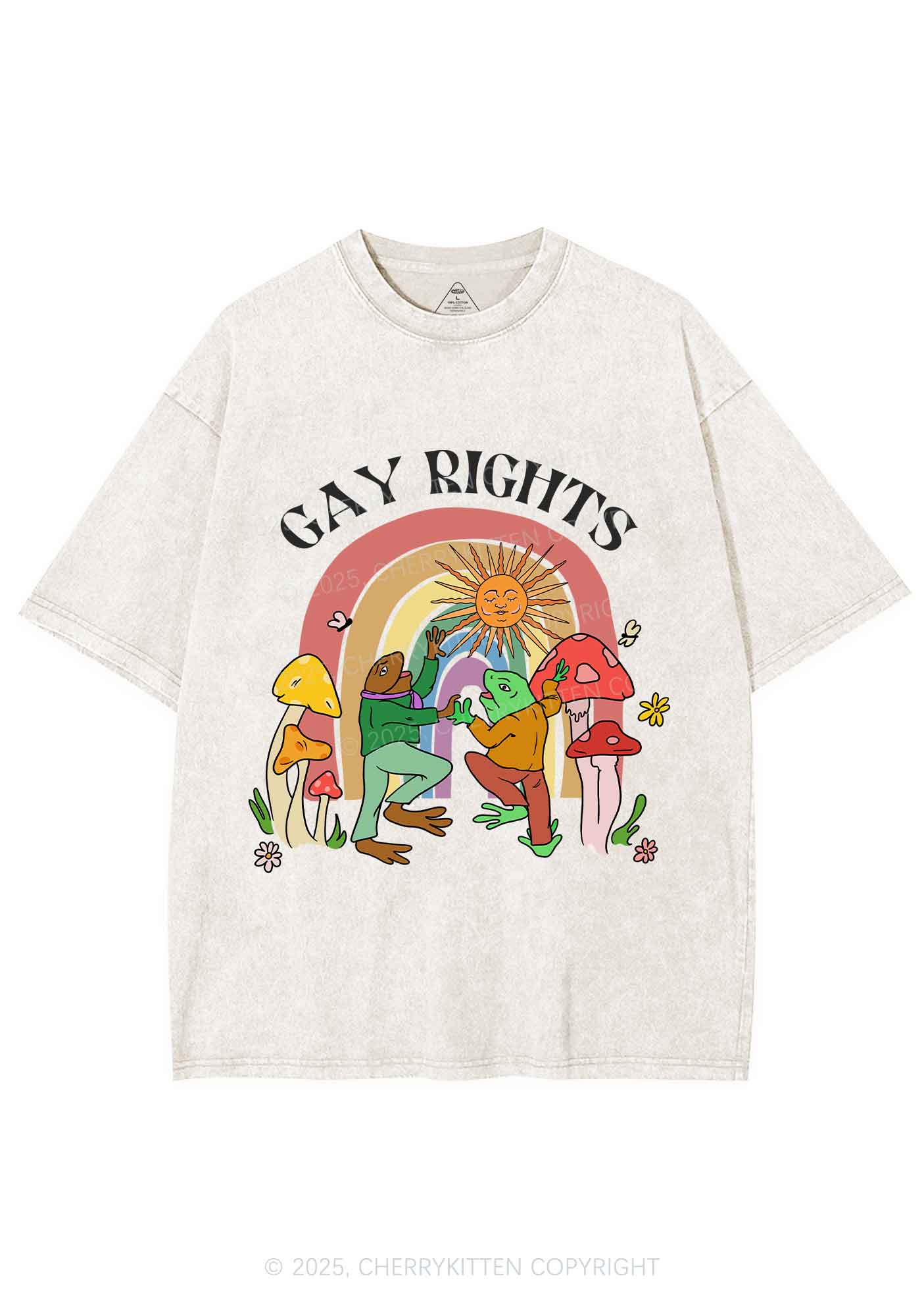 Gay Rights Pride Y2K Shirts Washed Tee Cherrykitten