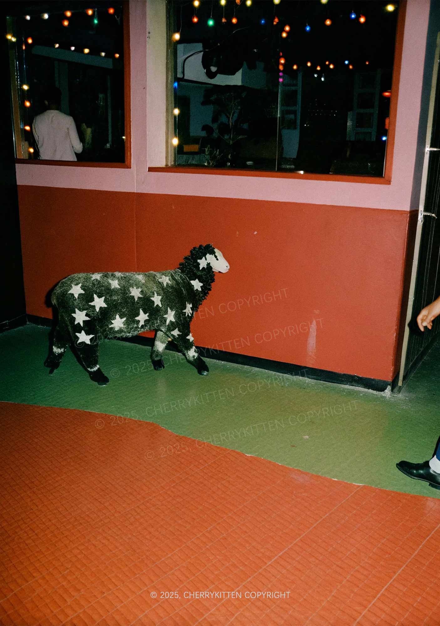 Sheep Starry Wool Y2K Mesh Long Sleeve Crop Top Cherrykitten