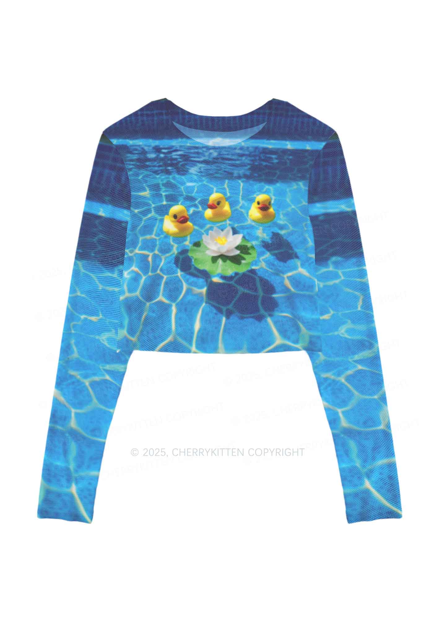 Three Ducks And Lily Y2K Mesh Long Sleeve Crop Top Cherrykitten