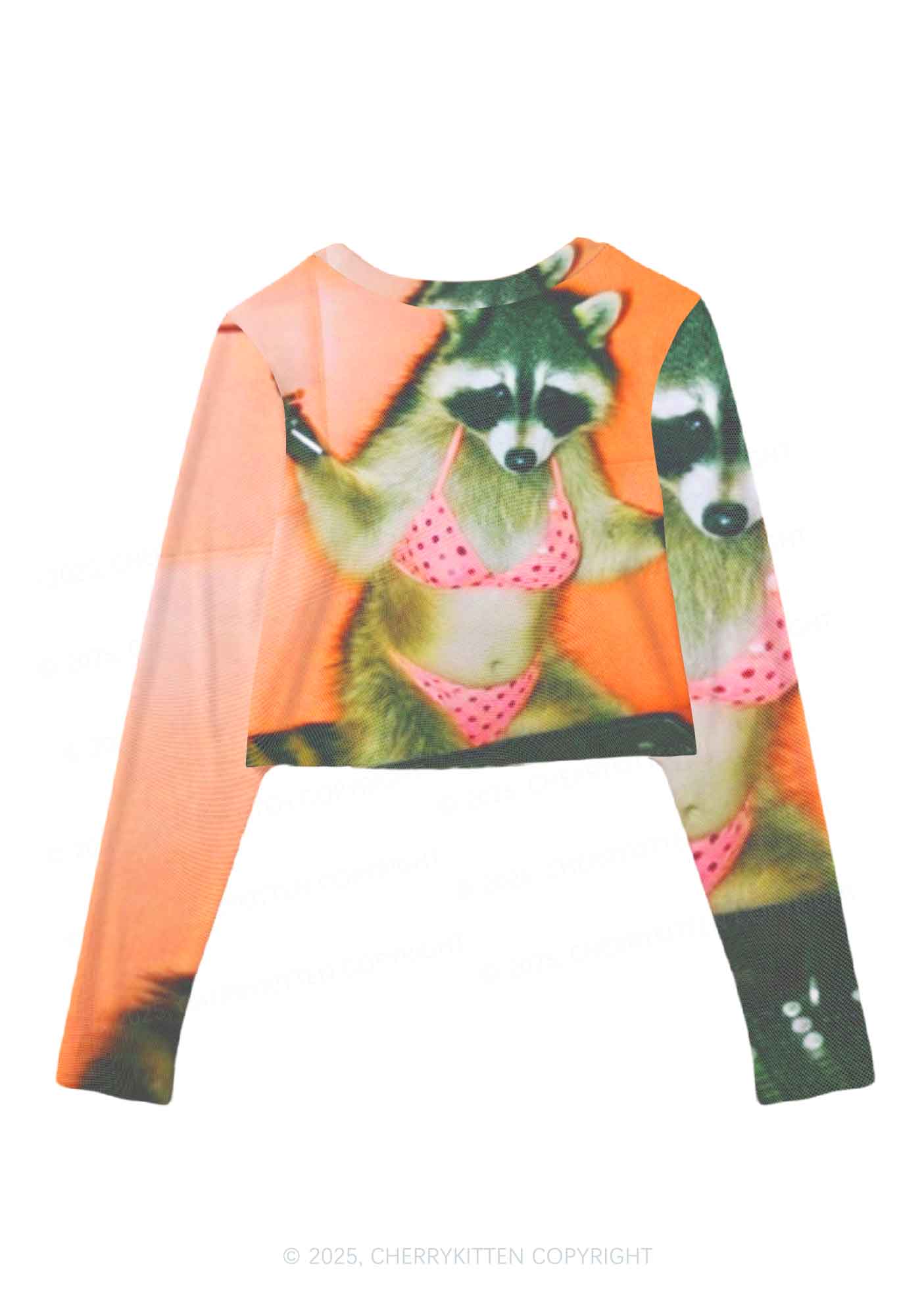 Bikini DJ Raccoon Y2K Mesh Long Sleeve Crop Top Cherrykitten