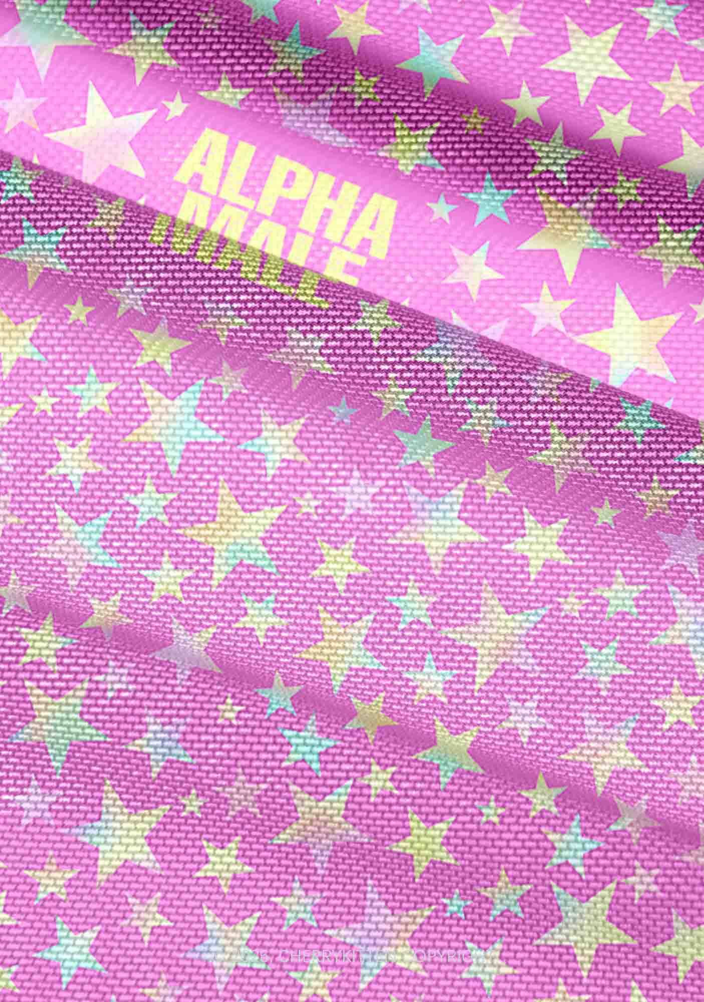 Hot Pink Alpha Male Pride Y2K Mesh Ruched Waist V Neck Top Cherrykitten
