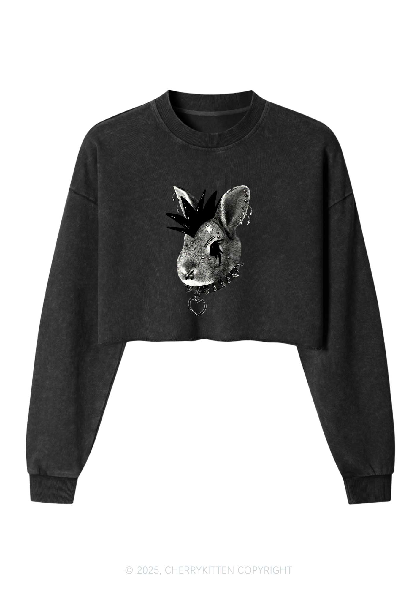 Custom Punk Pet Y2K Crop Washed Sweatshirts Cherrykitten
