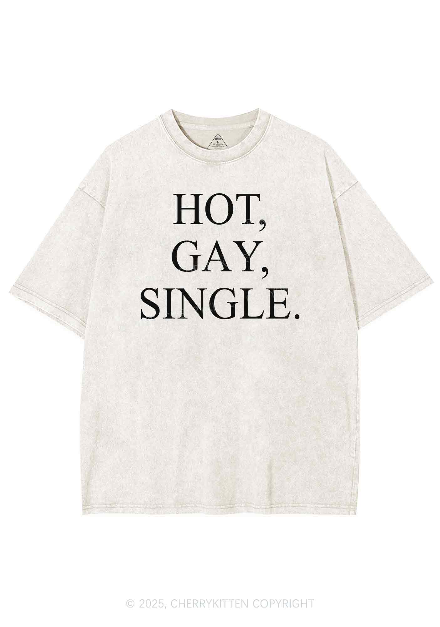 Hot Gay Single Pride Y2K Shirts Washed Tee Cherrykitten