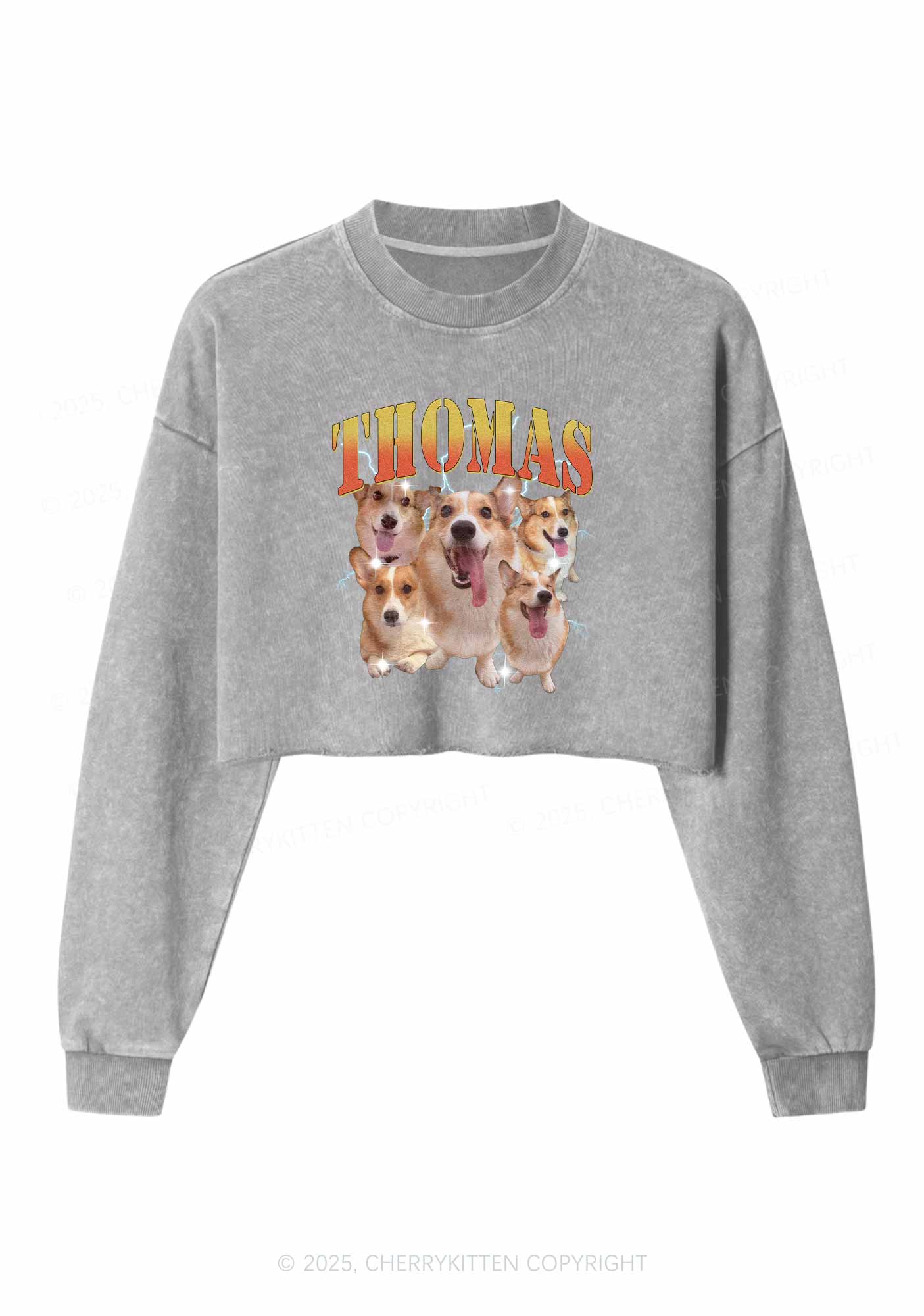 Custom Pet Photo Y2K Crop Washed Sweatshirts Cherrykitten