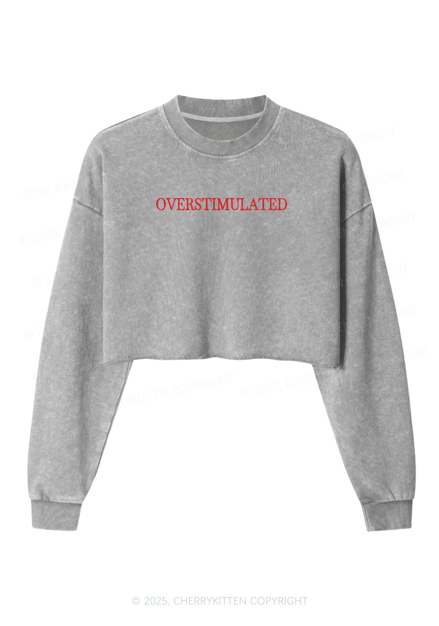 Embroidered Overstimulated Y2K Crop Washed Sweatshirts Cherrykitten