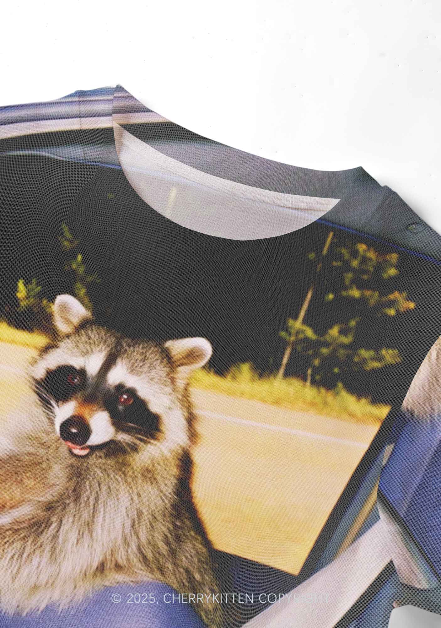 Raccoon Driver Y2K Mesh Crop Top Cherrykitten