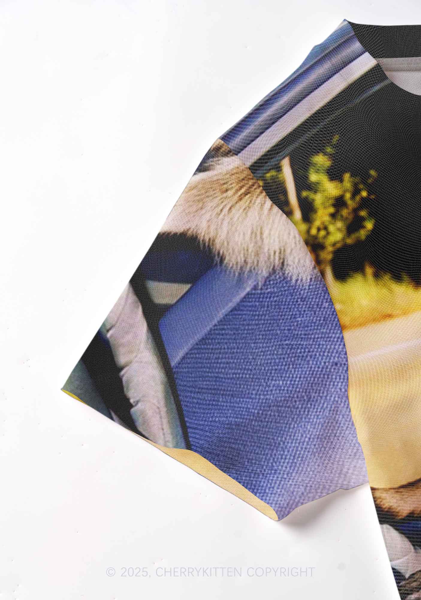 Raccoon Driver Y2K Mesh Crop Top Cherrykitten