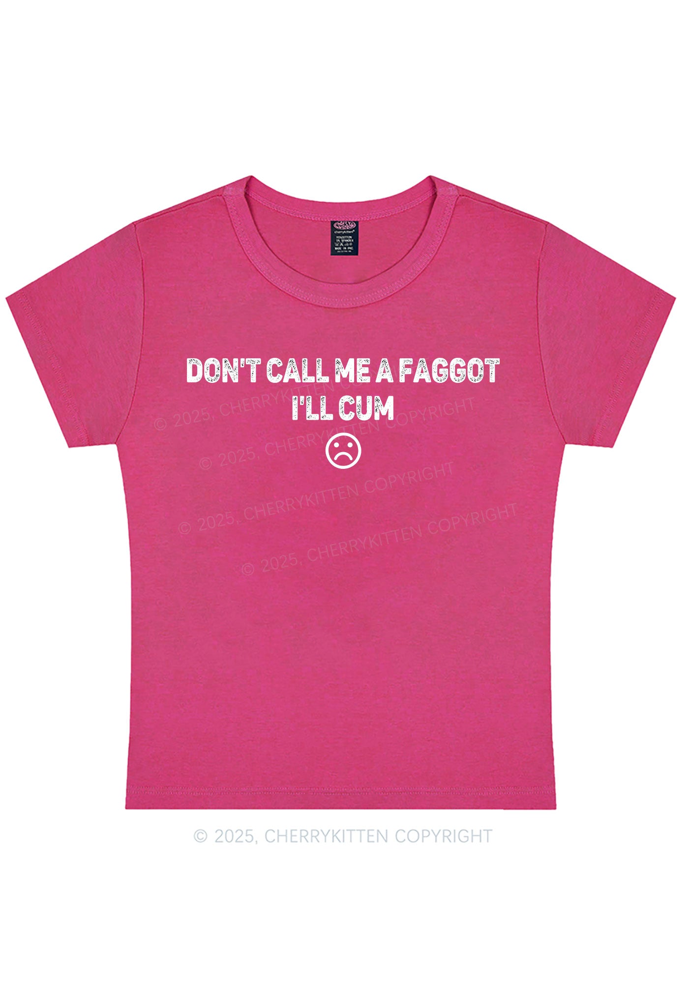 Dont Call Me Faggot Pride Y2K Baby Tee Cherrykitten