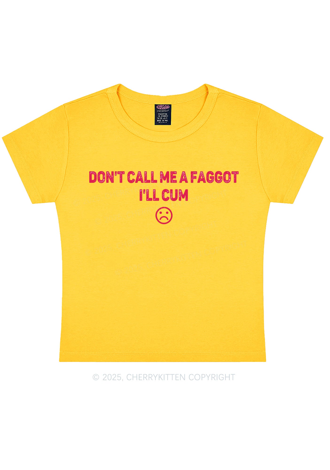 Dont Call Me Faggot Pride Y2K Baby Tee Cherrykitten