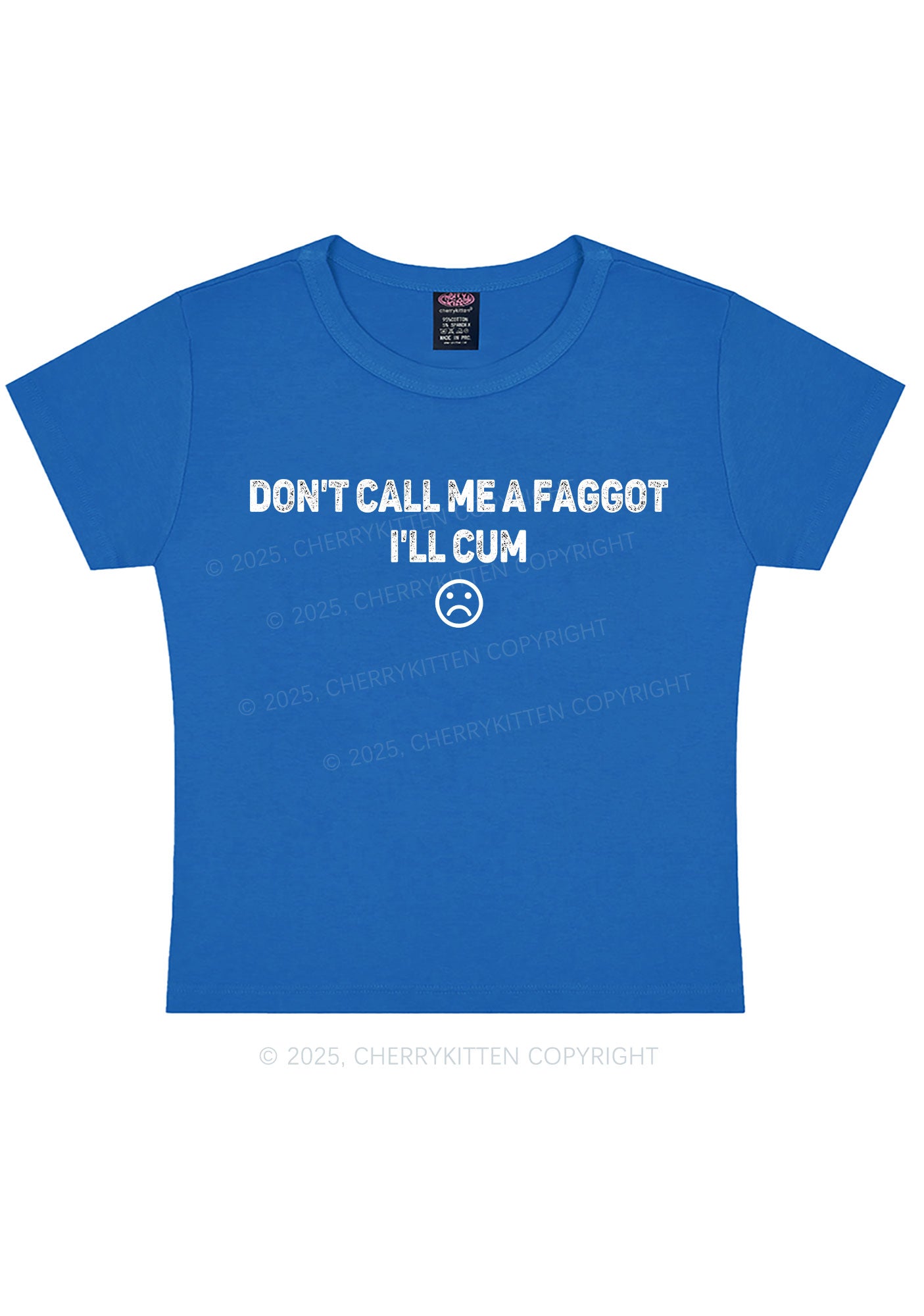 Dont Call Me Faggot Pride Y2K Baby Tee Cherrykitten