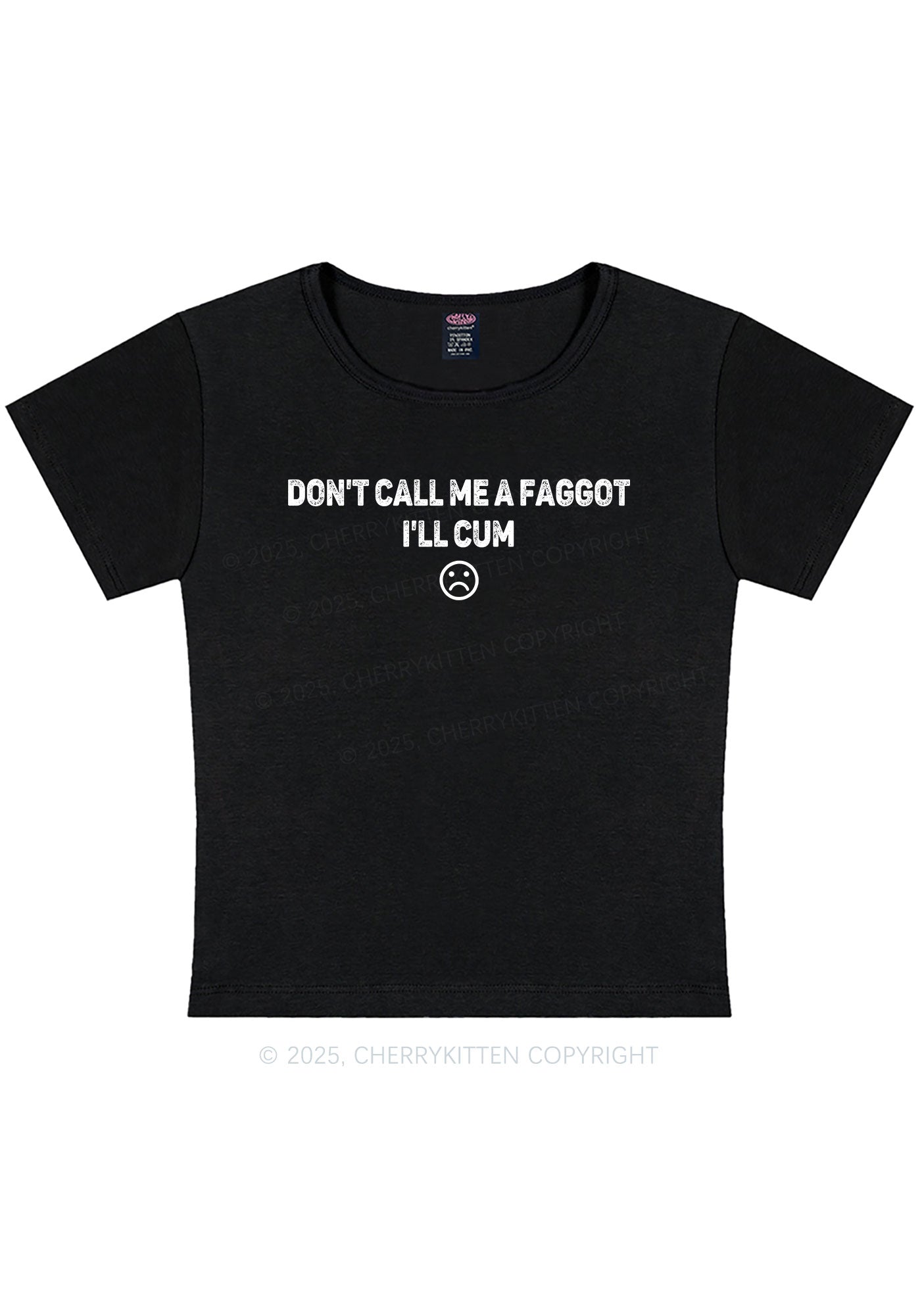 Dont Call Me Faggot Pride Y2K Baby Tee Cherrykitten