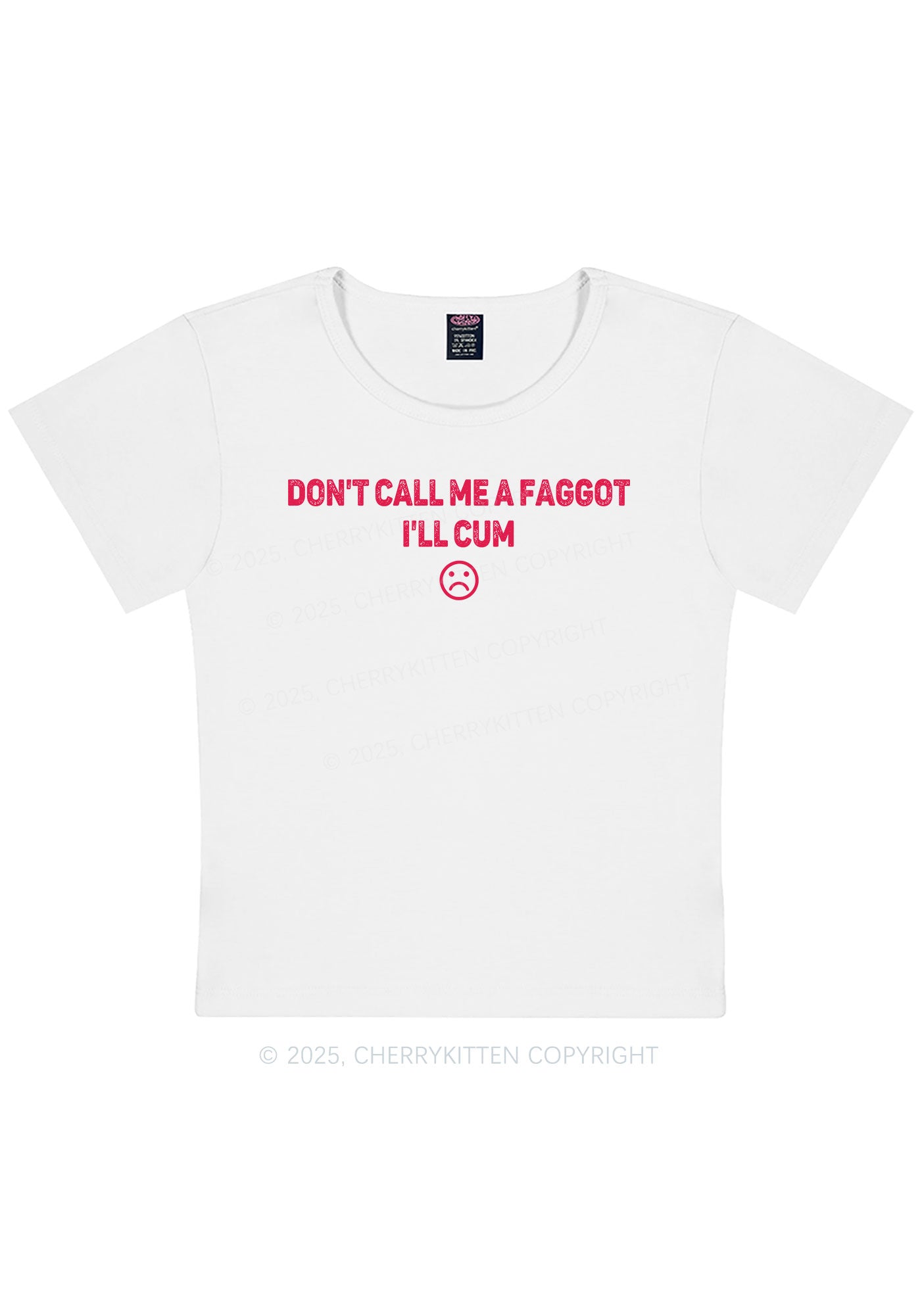 Dont Call Me Faggot Pride Y2K Baby Tee Cherrykitten