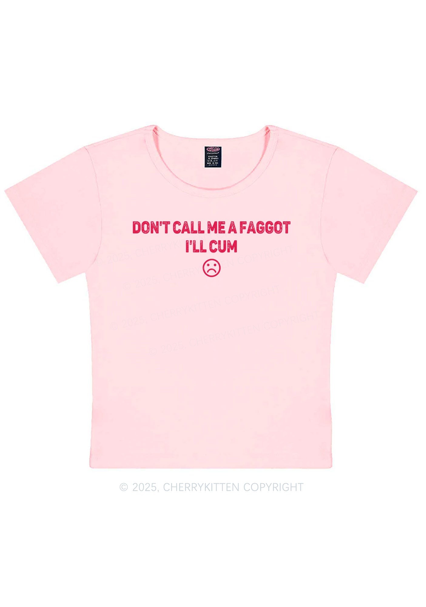 Dont Call Me Faggot Pride Y2K Baby Tee Cherrykitten