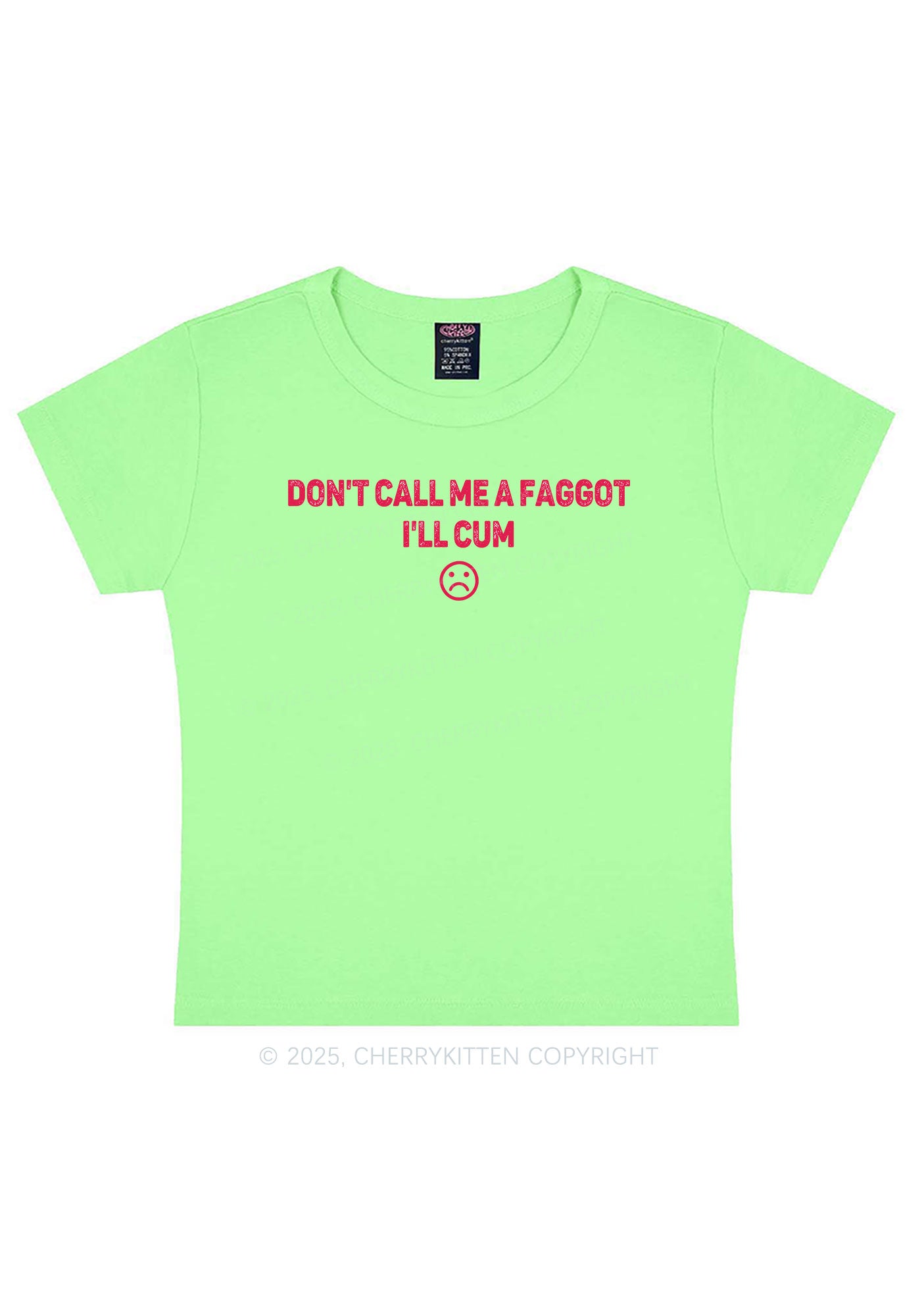 Dont Call Me Faggot Pride Y2K Baby Tee Cherrykitten