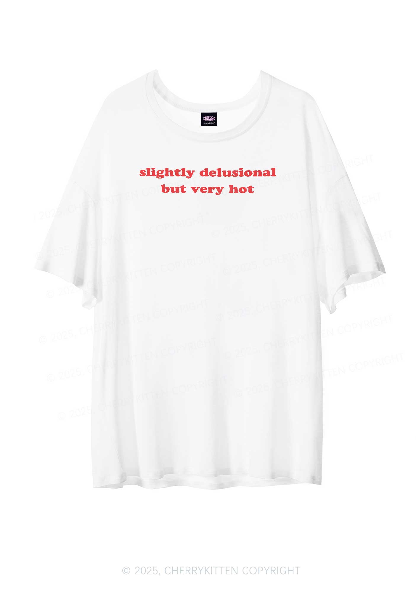 Slightly Delusional But Very Hot Y2K Sheer Boyfriend Tee Cherrykitten