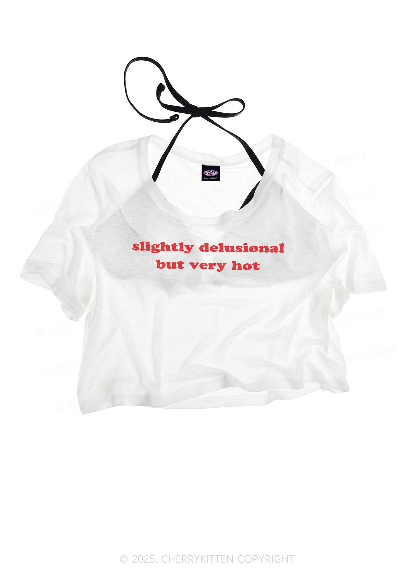 Slightly Delusional But Very Hot Y2K Sheer Crop Tee Cherrykitten
