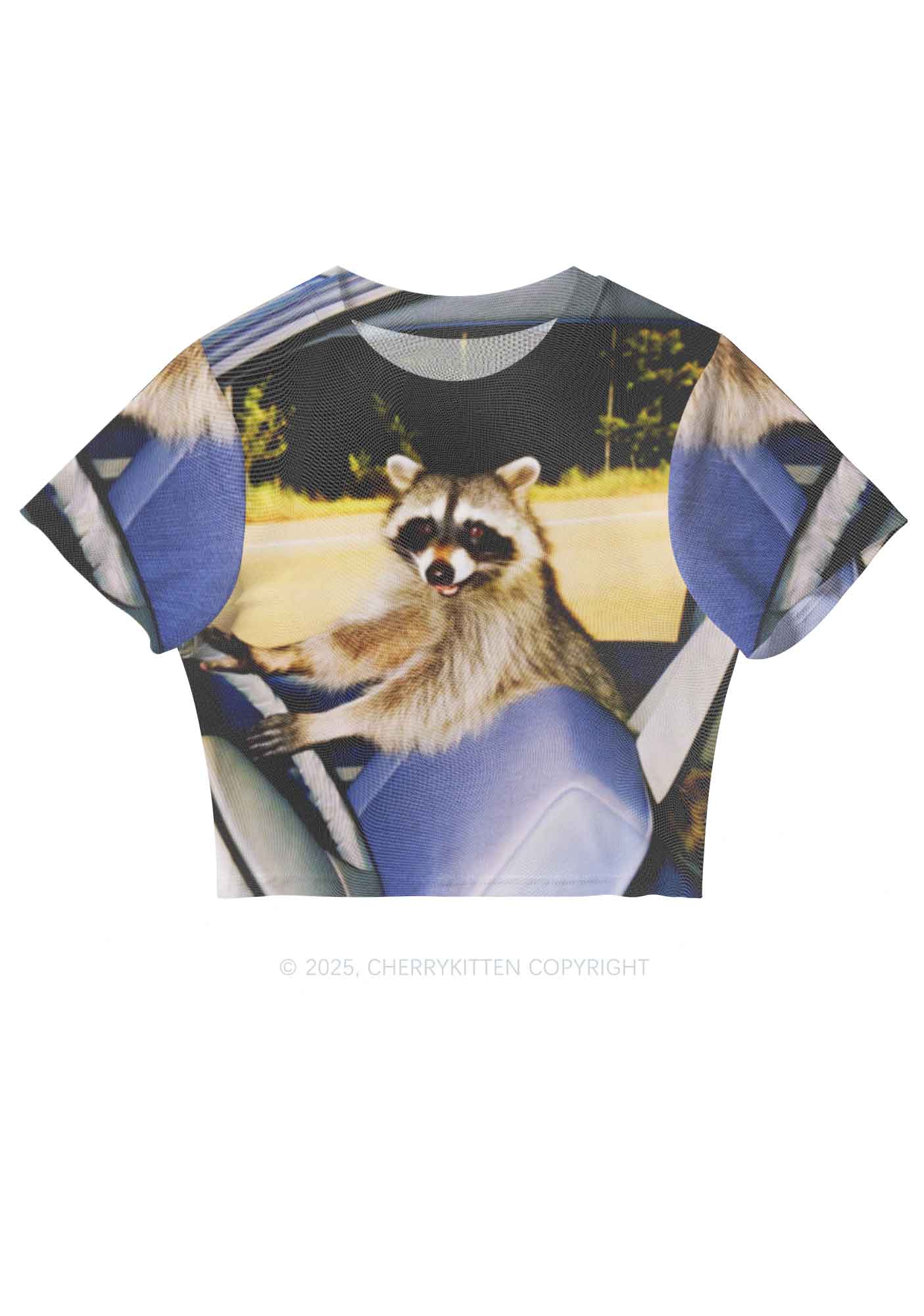 Raccoon Driver Y2K Mesh Crop Top Cherrykitten