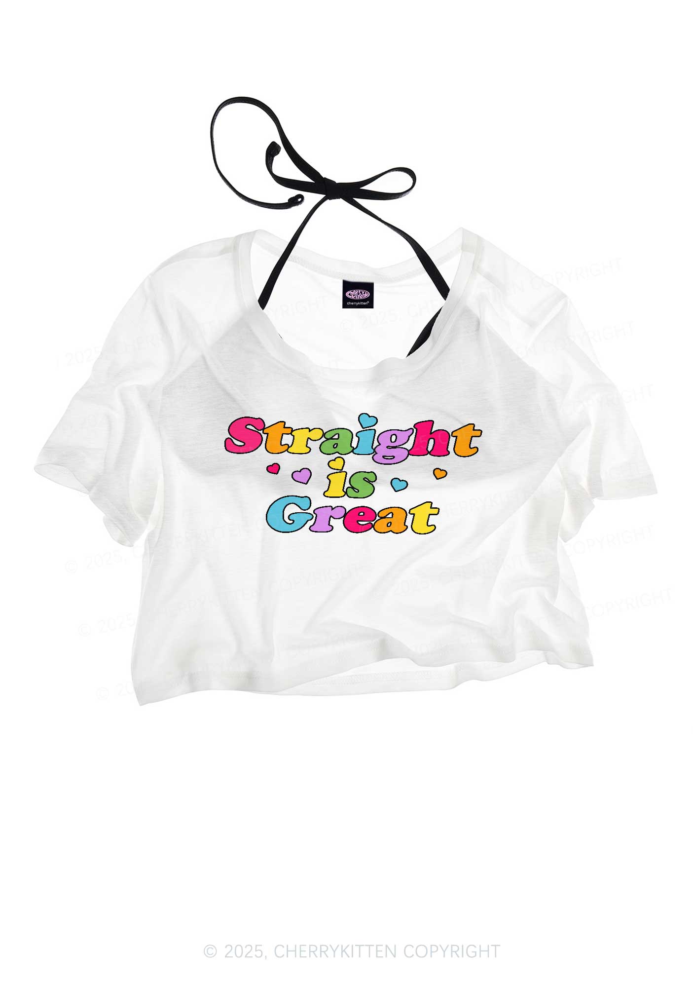 Straight Is Great Pride Y2K Sheer Crop Tee Cherrykitten
