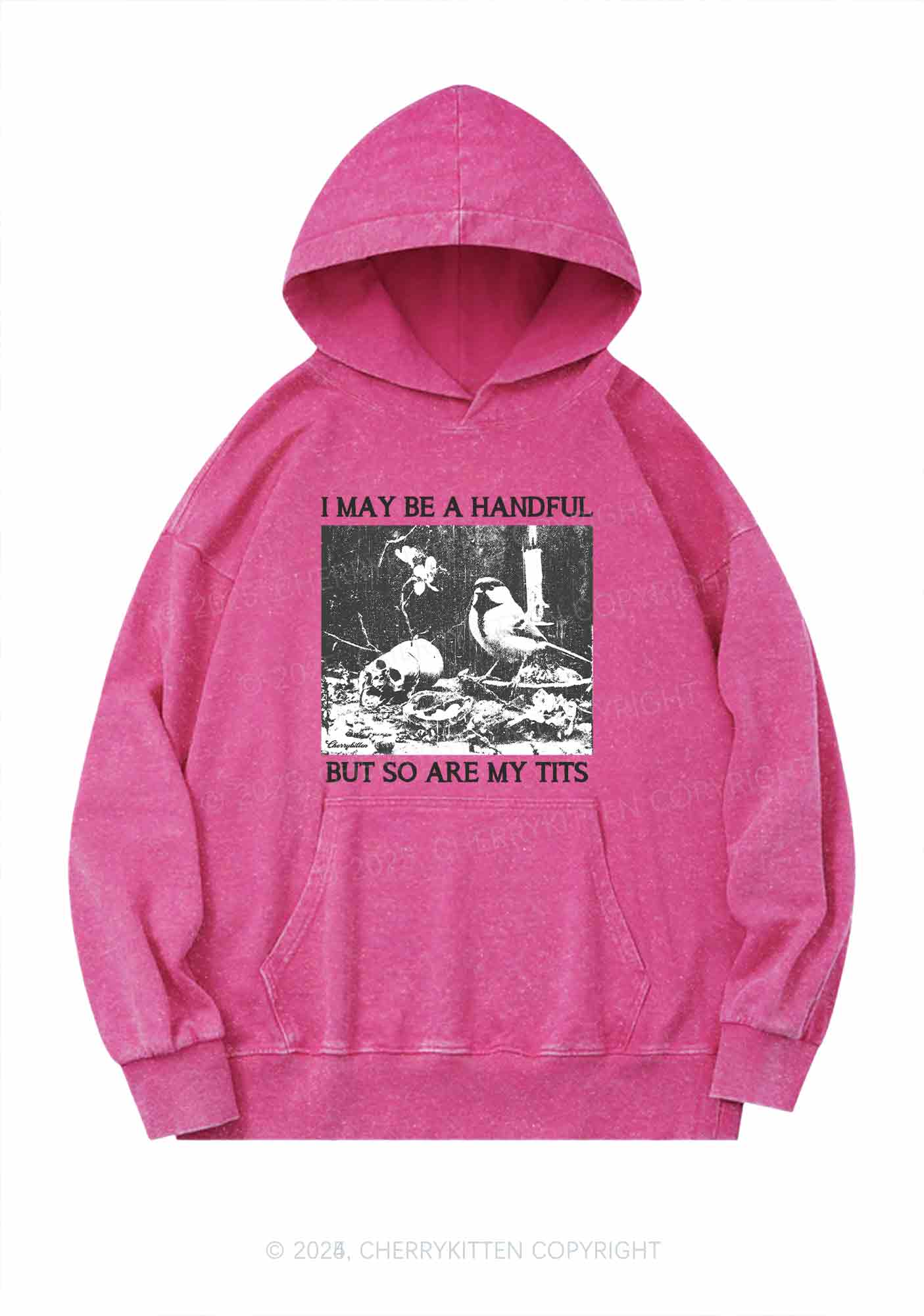 Halloween I May Be A Handful Y2K Washed Hoodie Cherrykitten