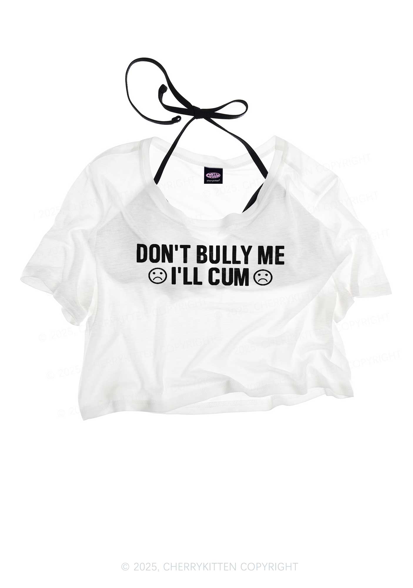 Dont Bully Me Y2K Sheer Crop Tee Cherrykitten
