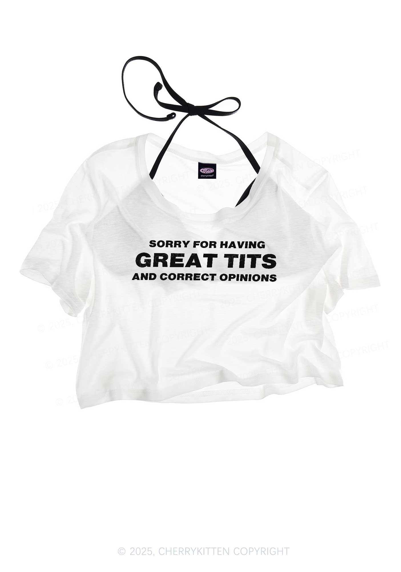 Sorry For Having Correct Opinions Y2K Sheer Crop Tee Cherrykitten