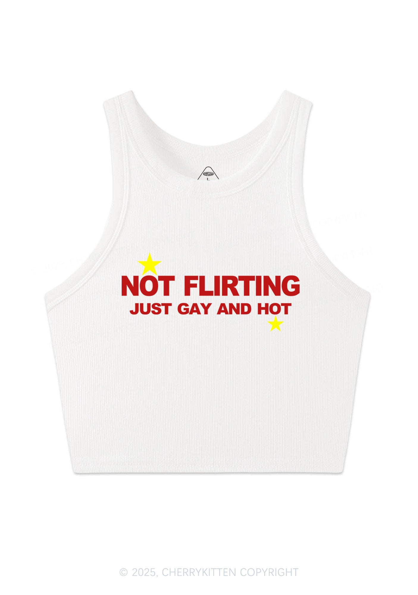 Not Flirting Y2K Crop Tank Top Cherrykitten
