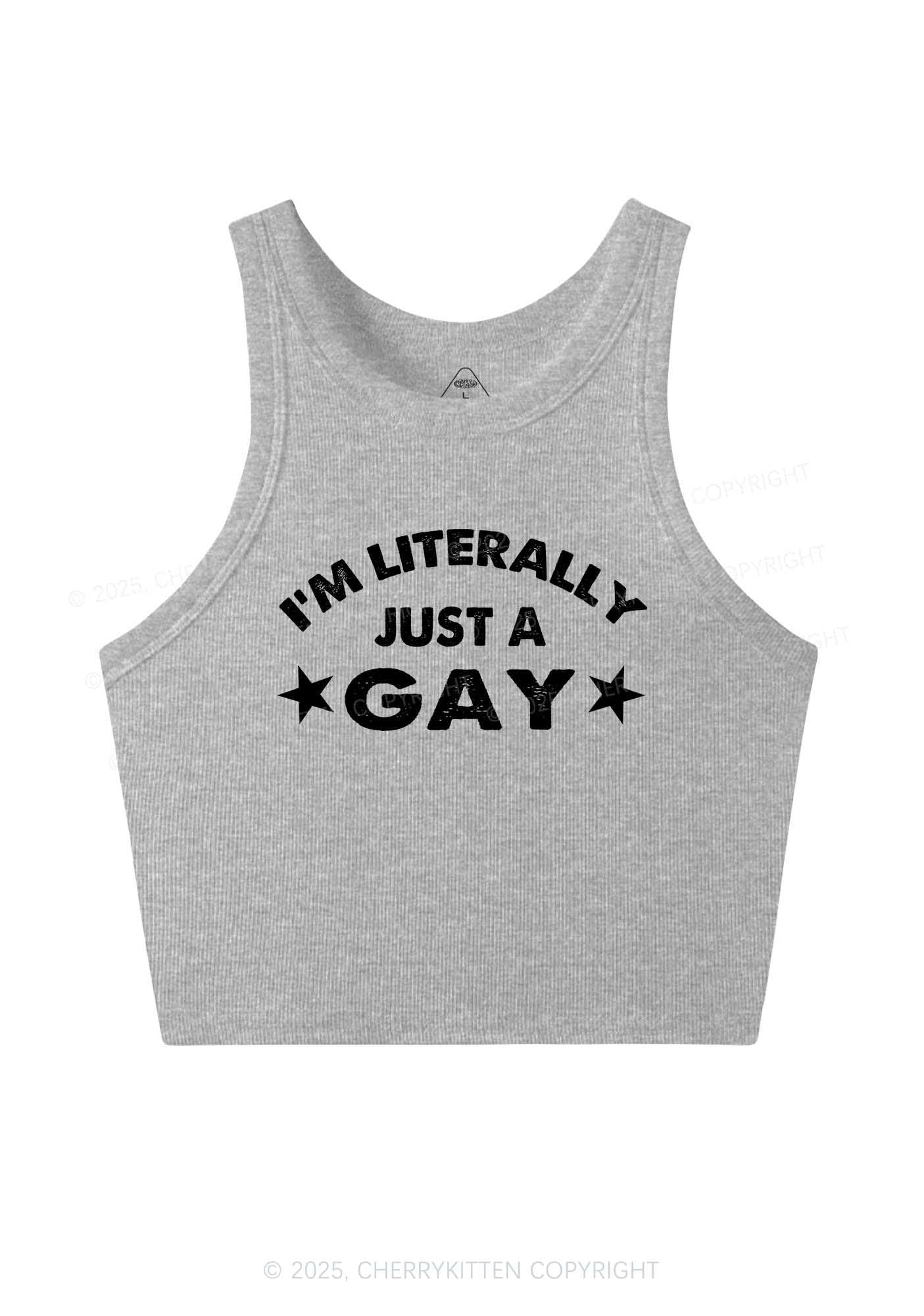 Literally Just A Gay Pride Y2K Crop Tank Top Cherrykitten