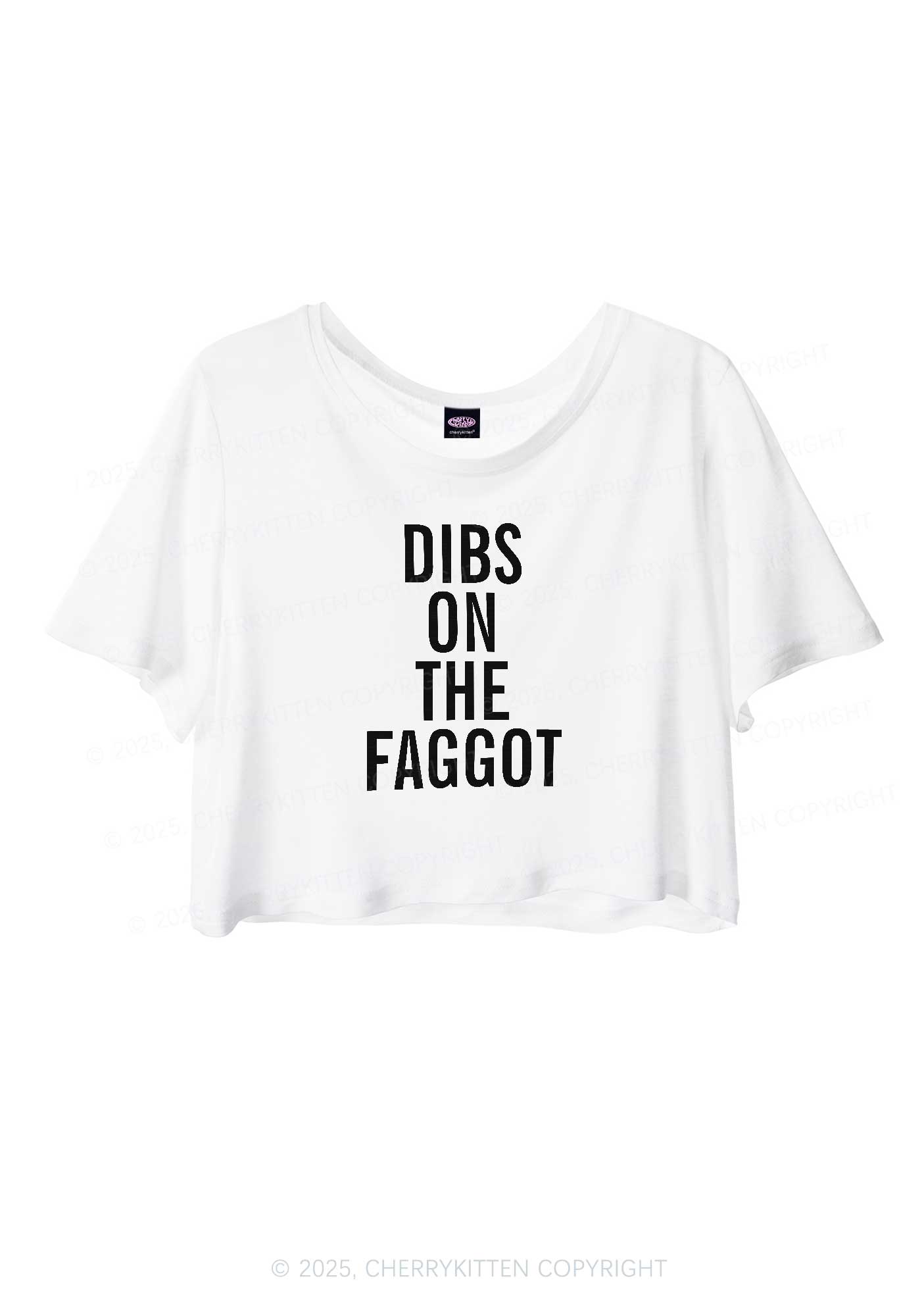Dibs On The Faggot Pride Y2K Sheer Crop Tee Cherrykitten
