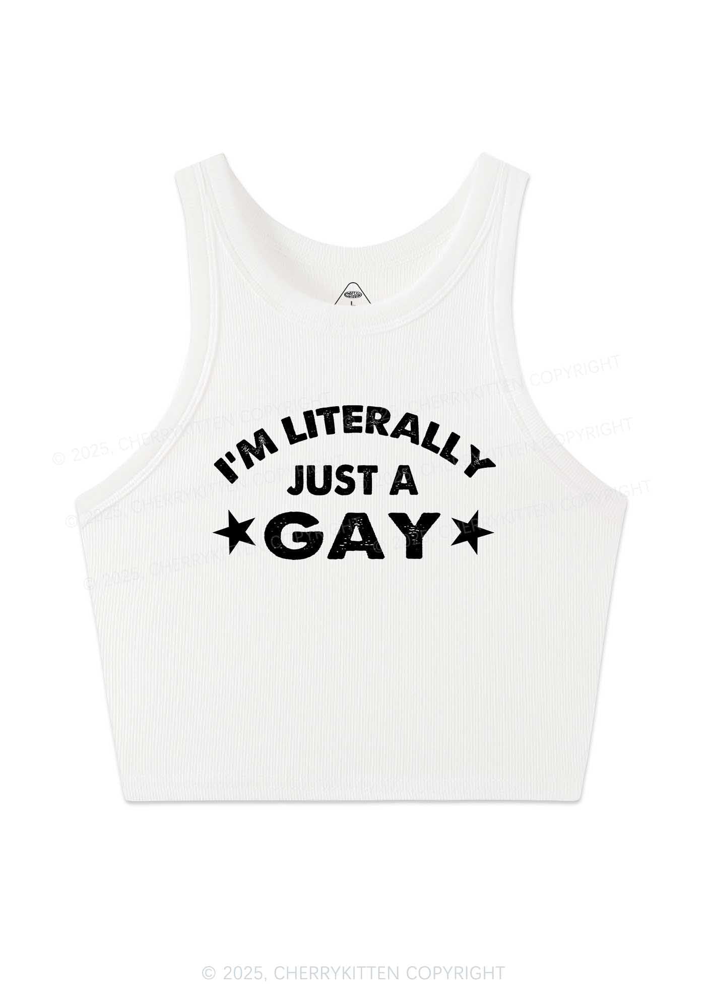 Literally Just A Gay Pride Y2K Crop Tank Top Cherrykitten