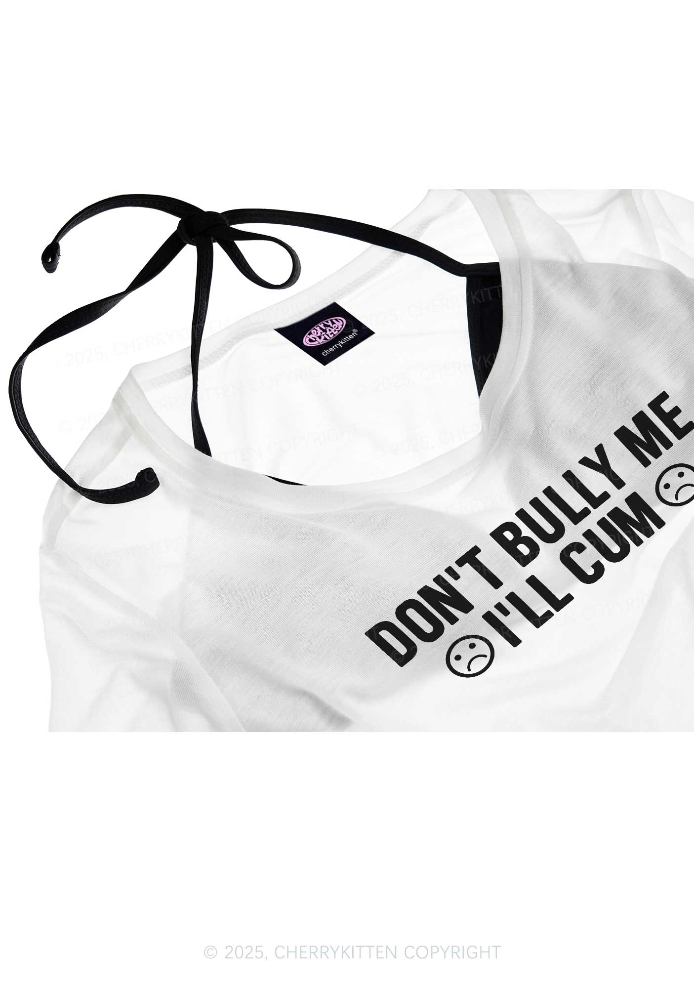 Dont Bully Me Y2K Sheer Crop Tee Cherrykitten