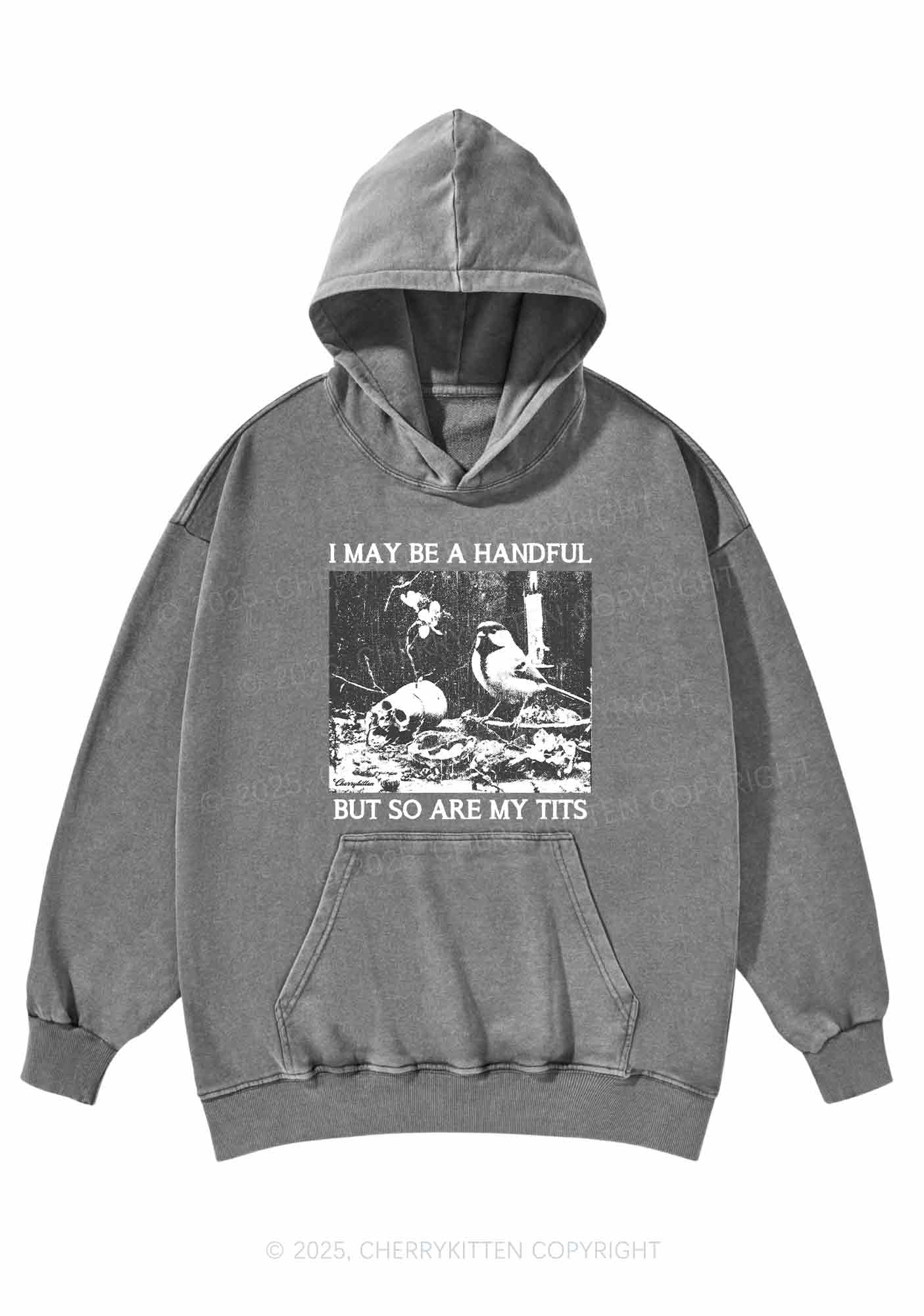 Halloween I May Be A Handful Y2K Washed Hoodie Cherrykitten