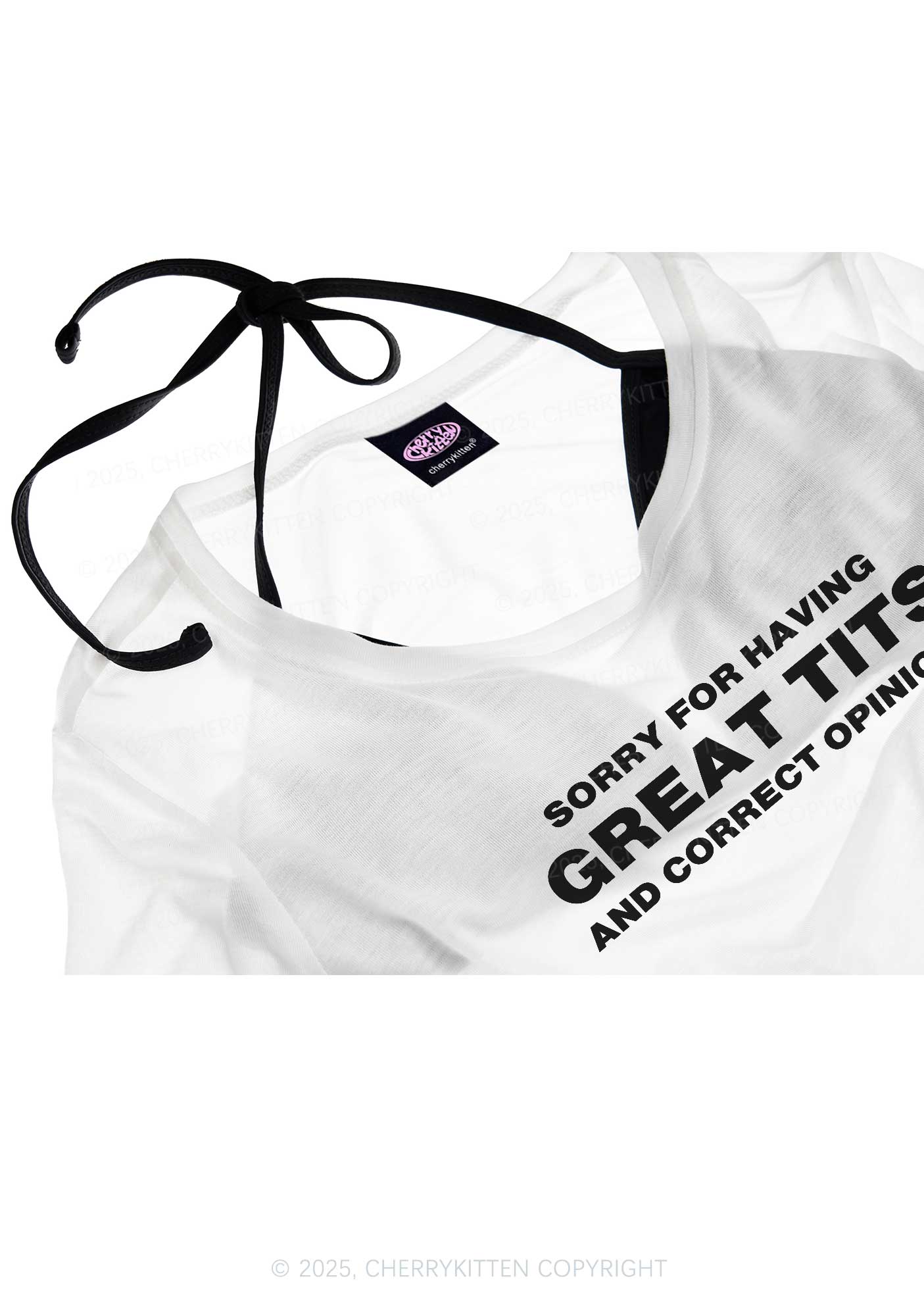 Sorry For Having Correct Opinions Y2K Sheer Crop Tee Cherrykitten