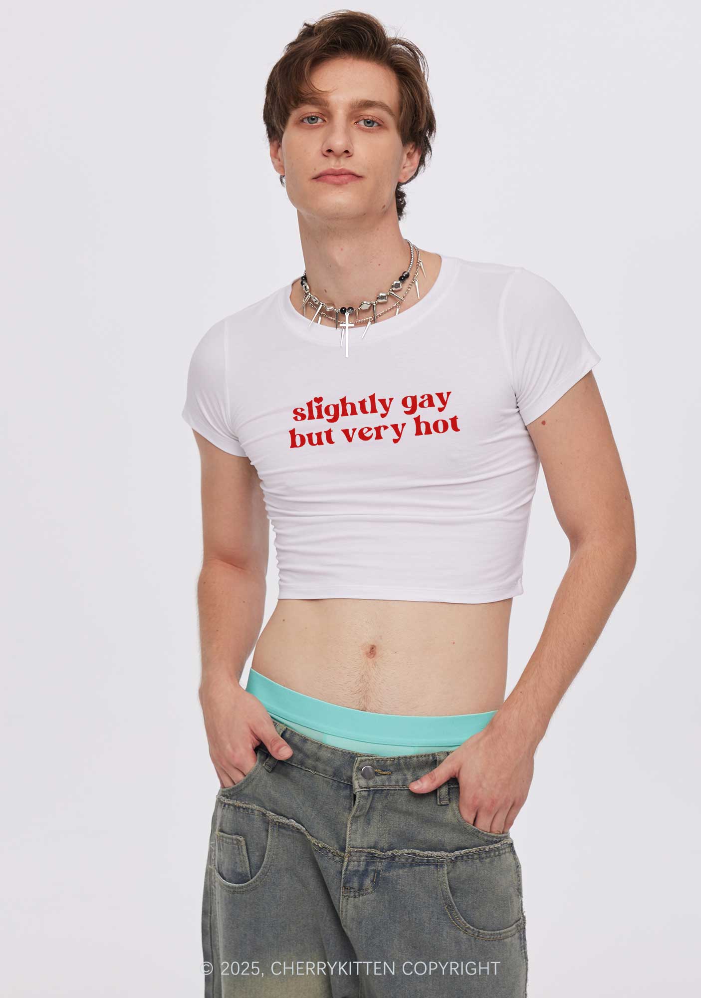 Slightly Gay But Very Hot Pride Y2K Baby Tee Cherrykitten