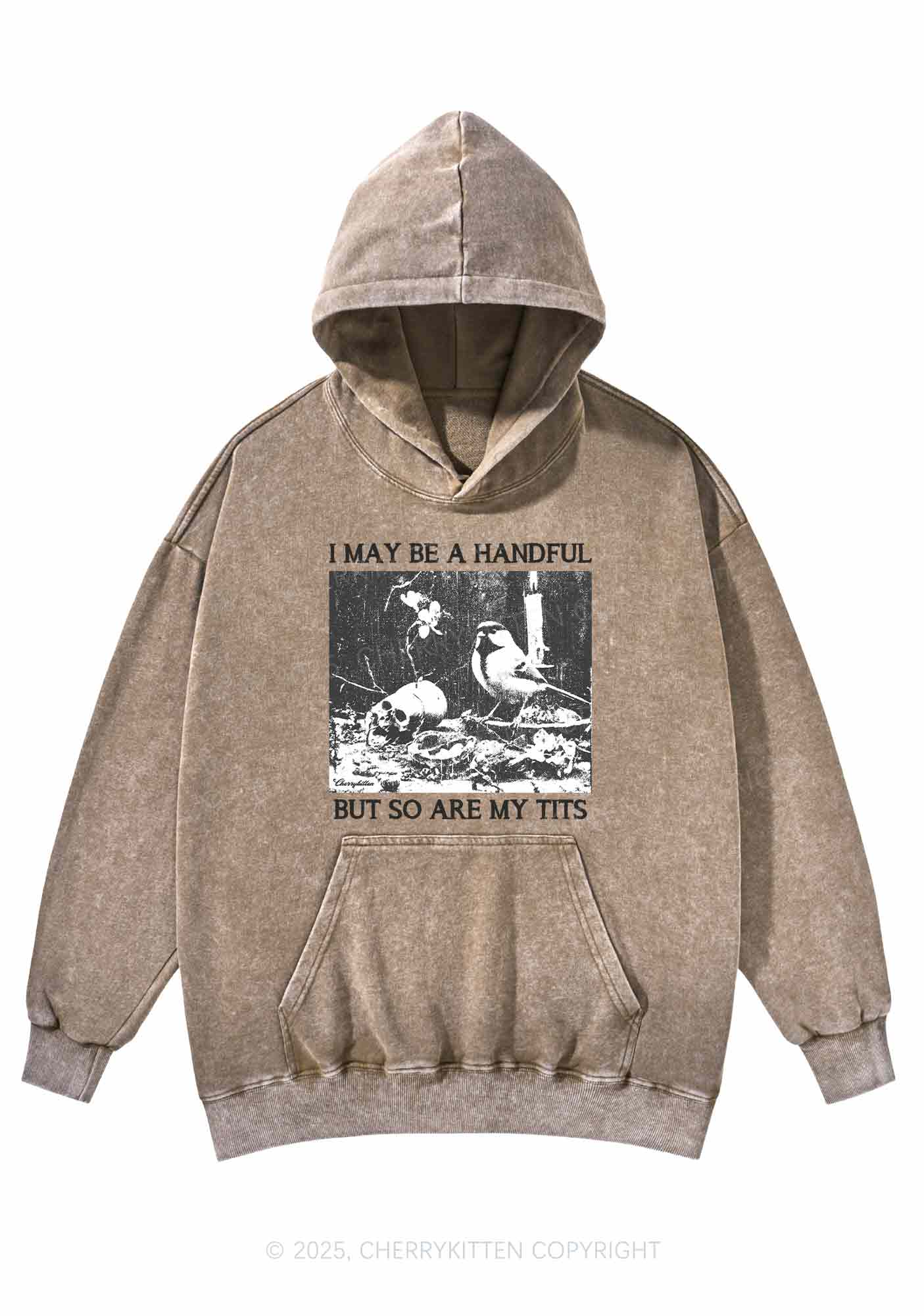 Halloween I May Be A Handful Y2K Washed Hoodie Cherrykitten