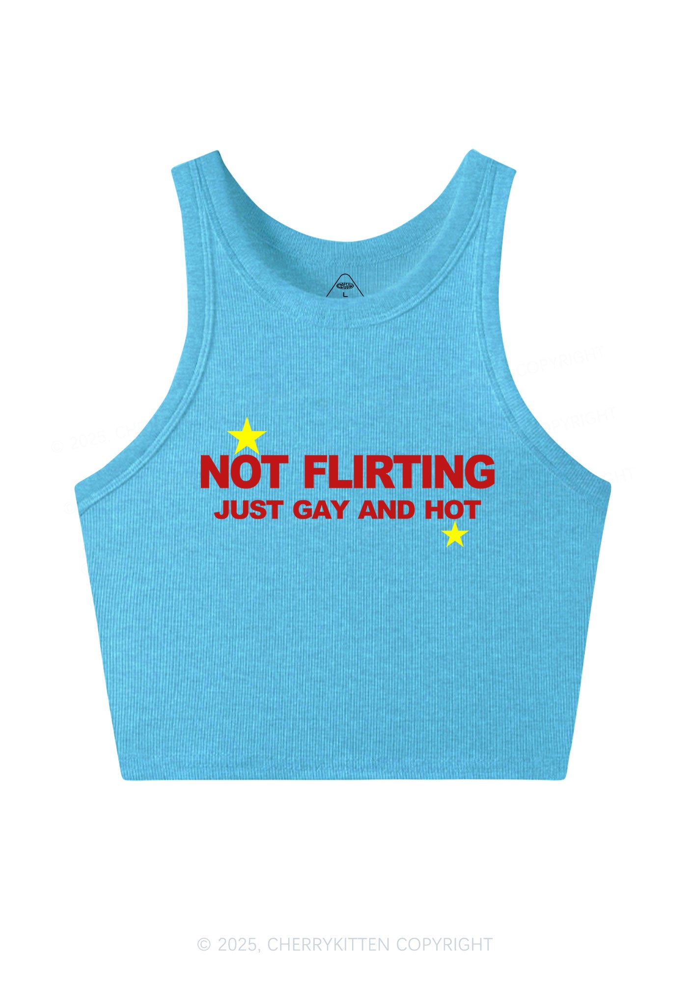 Not Flirting Y2K Crop Tank Top Cherrykitten