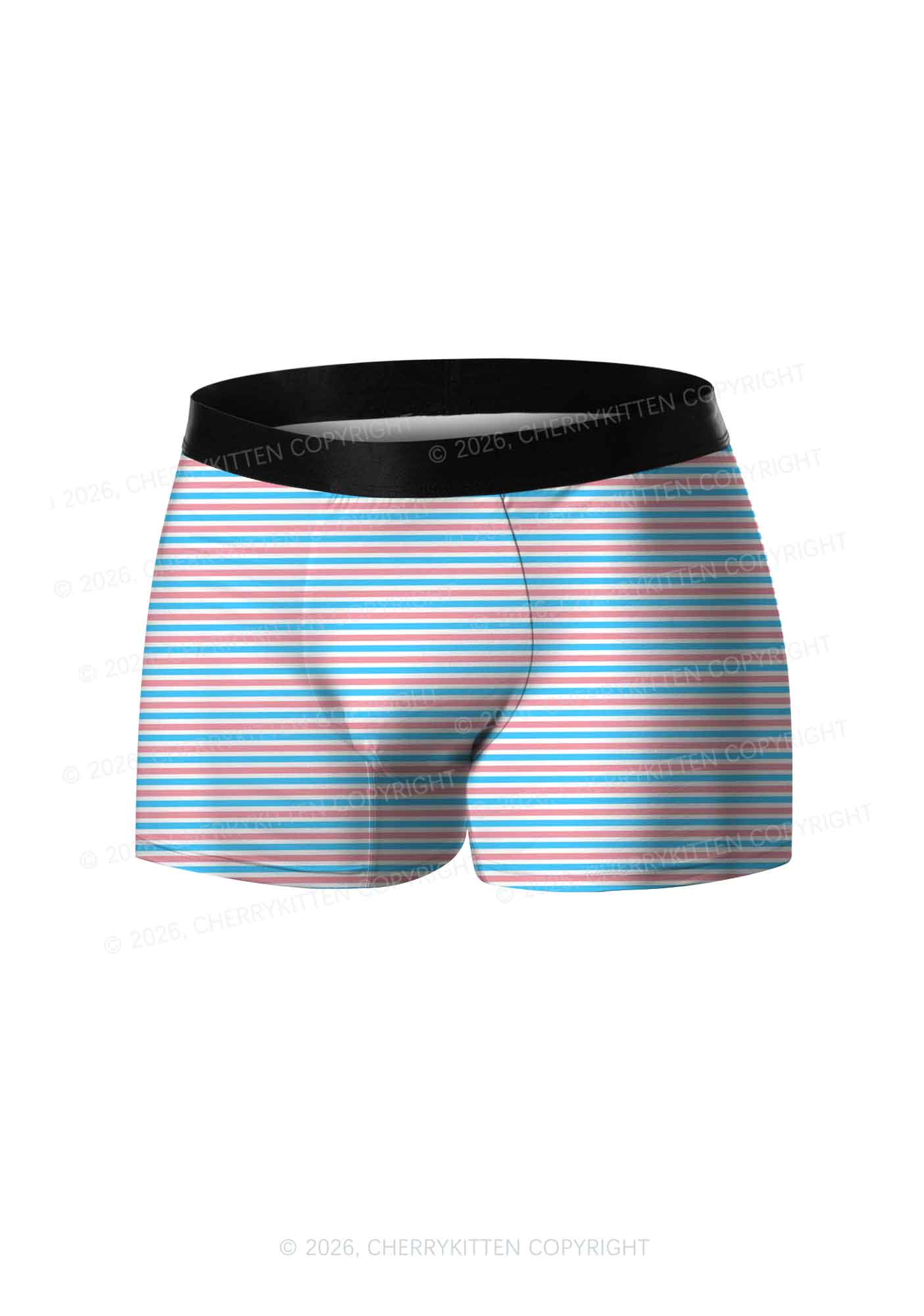 Trans Stripes Pride Y2K Print Men Boxer Briefs Cherrykitten