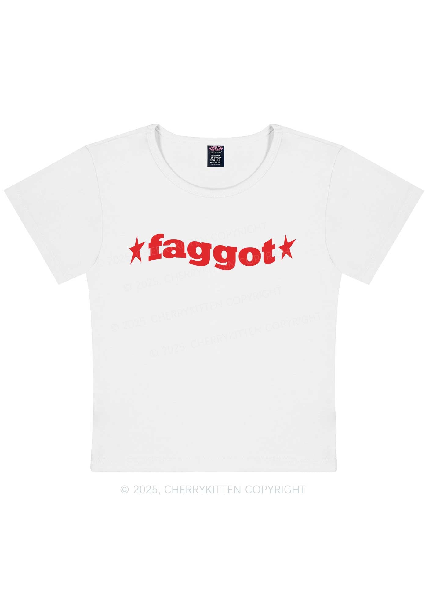 Red Faggot Pride Y2K Baby Tee Cherrykitten