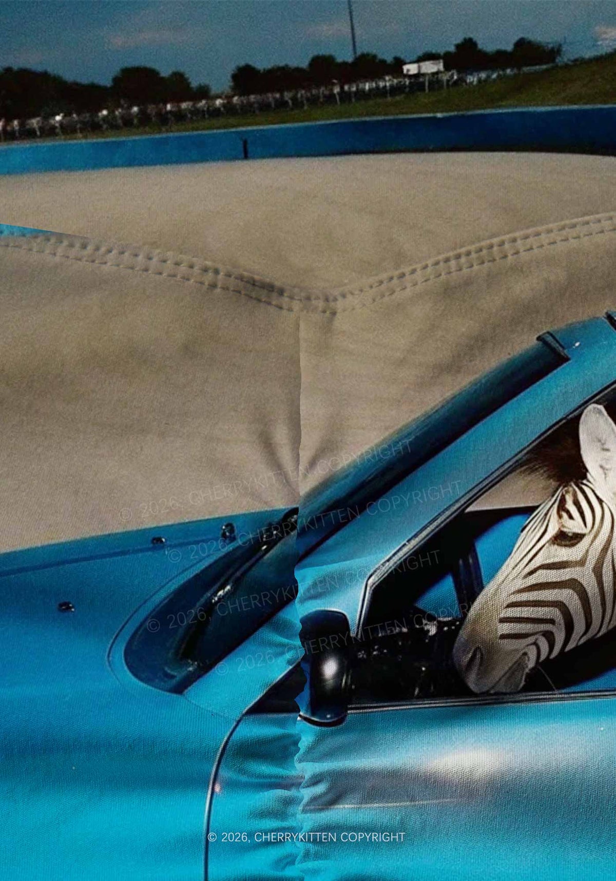 Zebra Driver Y2K Print Gym Shorts Cherrykitten