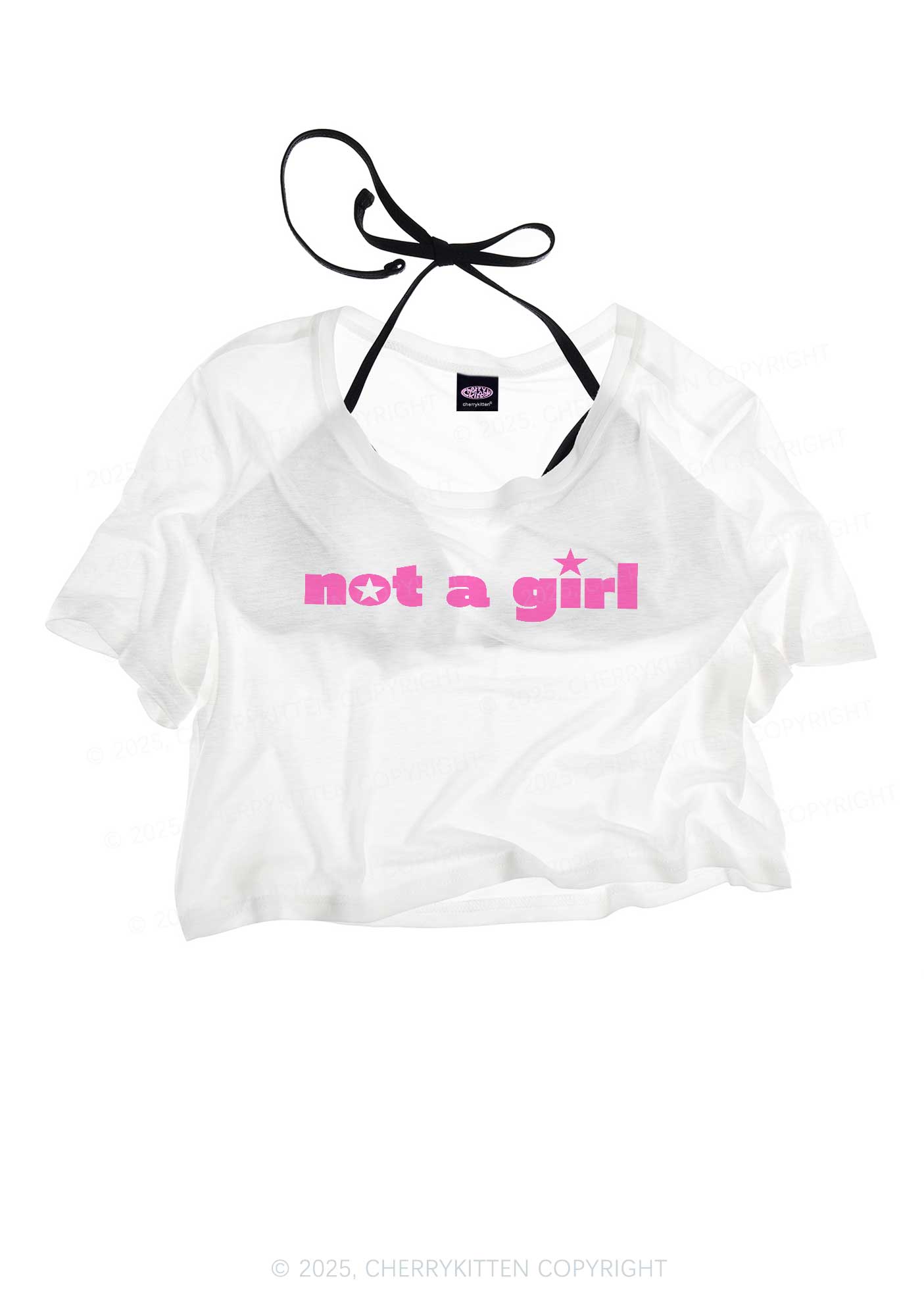 Not A Girl Y2K Sheer Crop Tee Cherrykitten